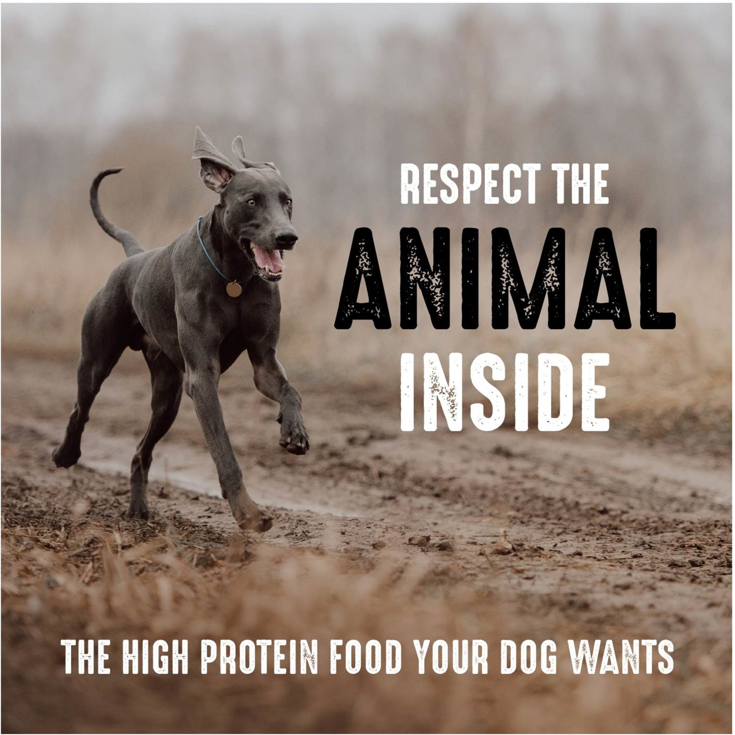 Crave Grain Free Adult Dry Dog Food With Protein From Beef, 4 Lb. Bag
