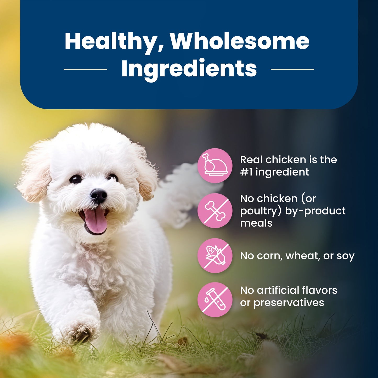 Blue Buffalo Life Protection Formula Small Breed Dry Dog Food Chicken & Brown Rice 5 lbs.