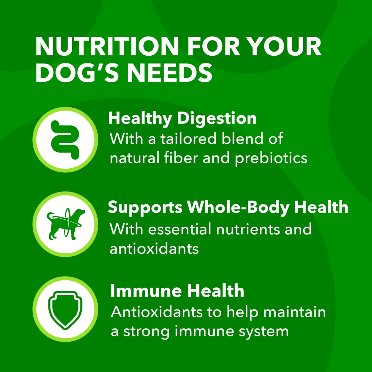 Iams Proactive Health Minichunks Dry Dog Food With Real Lamb & Rice, 15 Lb. Bag