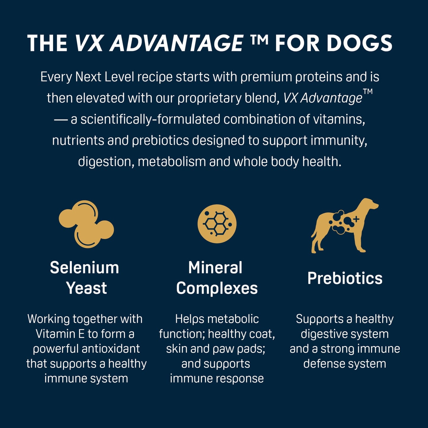 Next Level, Ocean Catch Skin & Coat Recipe, Dry Dog Food, 40 lbs