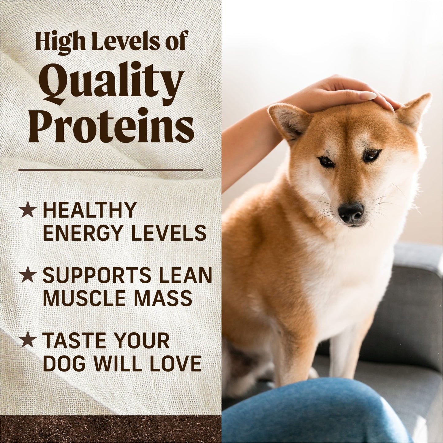 Merrick Premium Grain Free Dry Adult Dog Food, Wholesome And Natural Kibble, Real Texas Beef And Sweet Potato, 4.0 lb. Bag