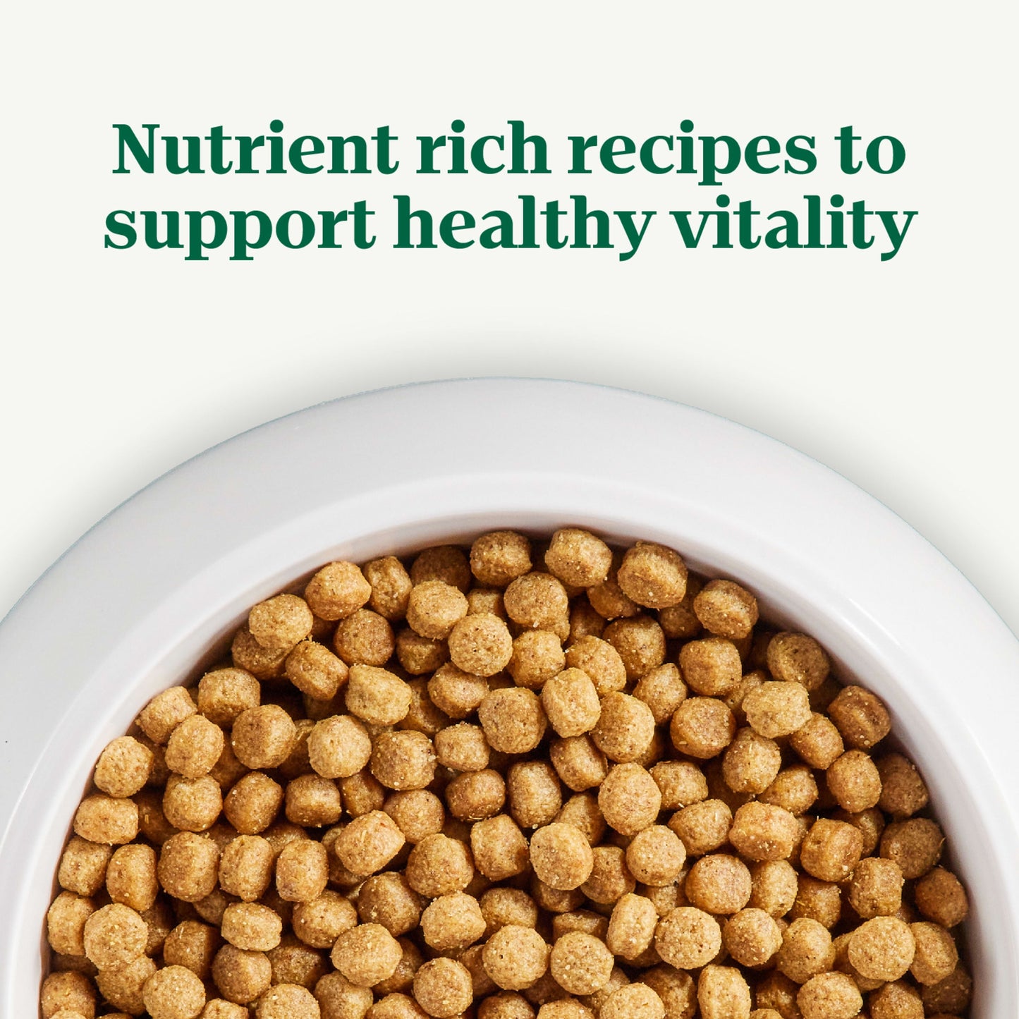 Nutro Natural Choice Small Bites Adult Dry Dog Food, Chicken And Brown Rice, 13 Lbs.