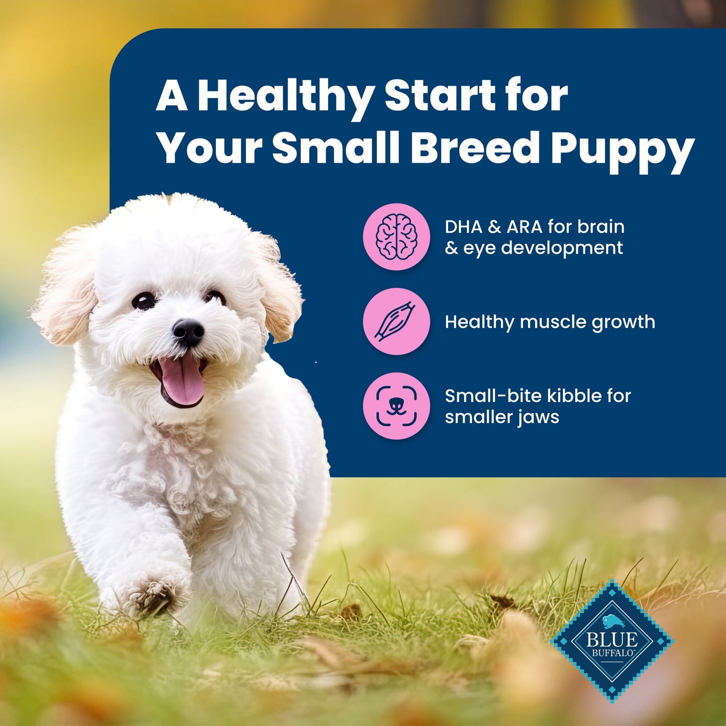 Blue Buffalo Life Protection Formula Small Breed Dry Puppy Food, Chicken & Oatmeal, 5 lbs.
