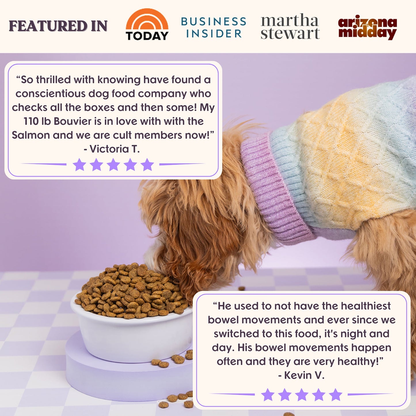 Bundle x Joy Golden Gut-Friendly Cage-Free Chicken Flavor Dry Dog Food, 4 lb Bag