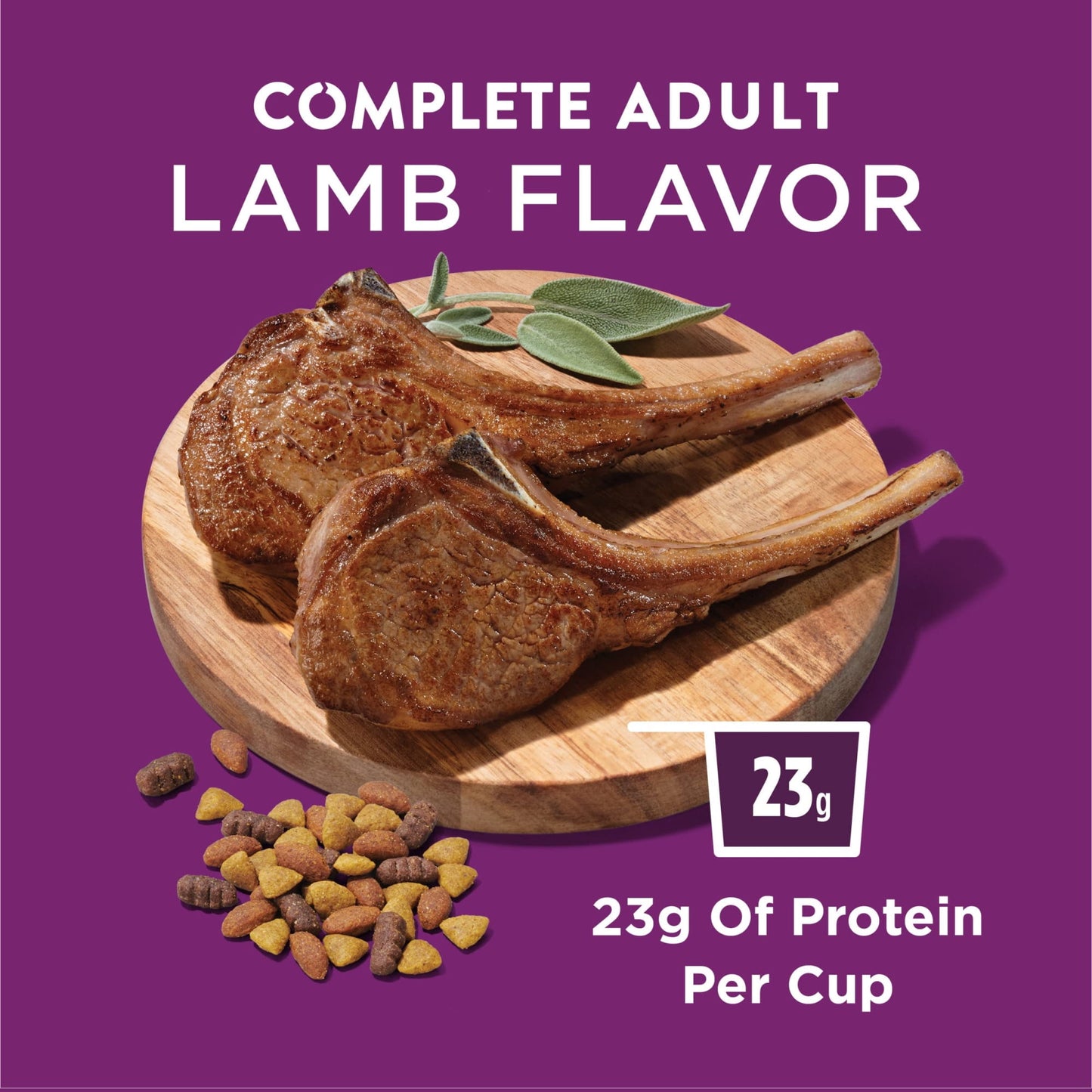 Purina Dog Chow Complete Adult Dry Dog Food Kibble with Lamb Flavor (Pack of 24)