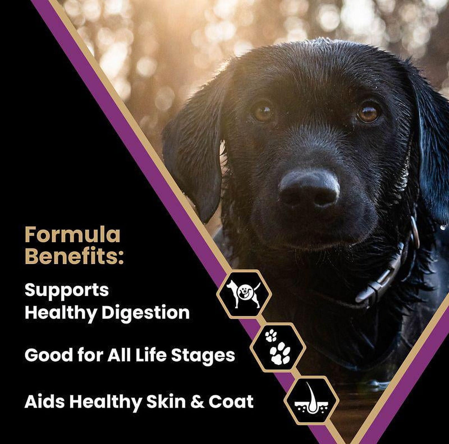 Victor Classic Professional Formula All Life Stages Dry Dog Food 40 lb