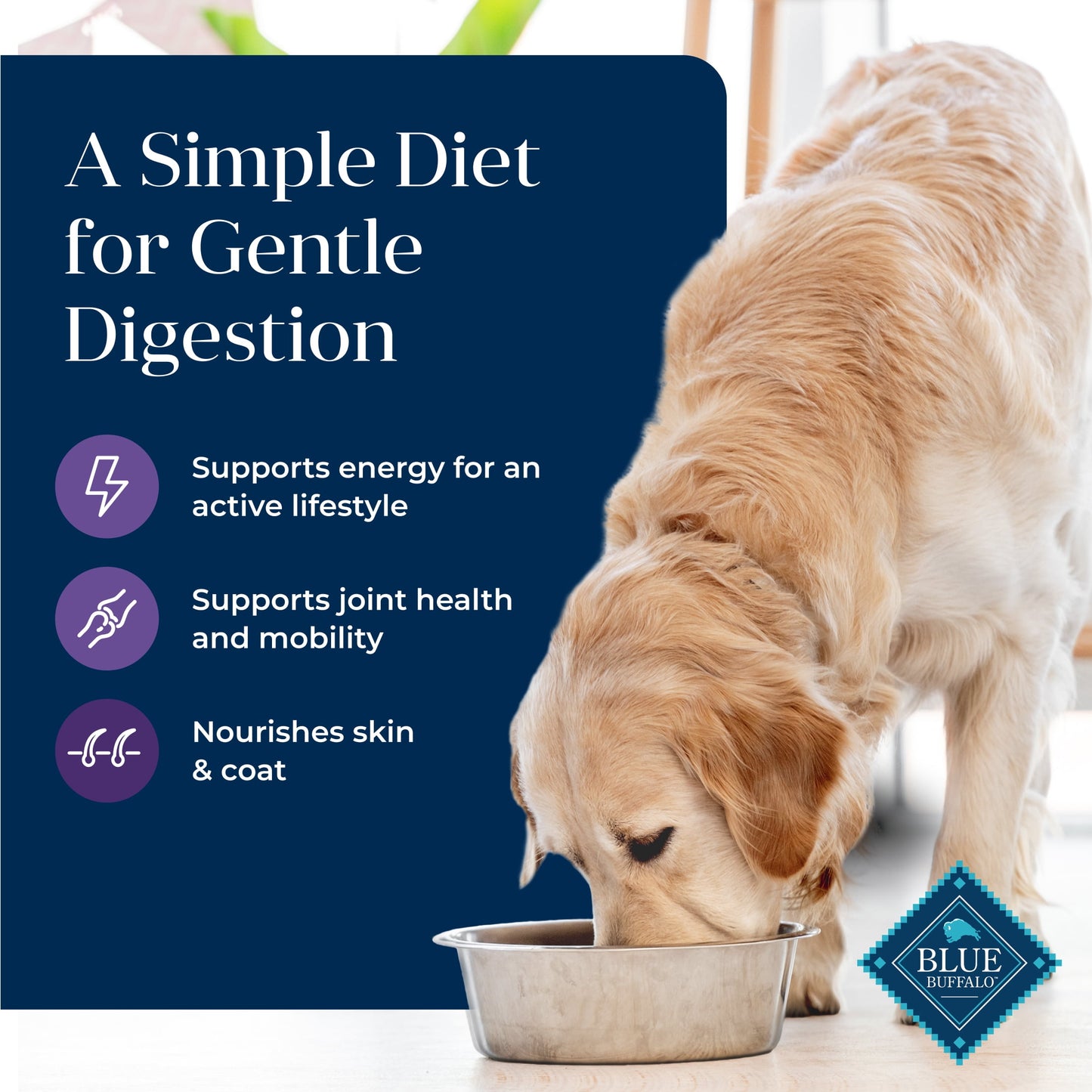 Blue Buffalo Basics Senior Dry Dog Food, Skin & Stomach Care, Turkey Recipe, 24-lb Bag