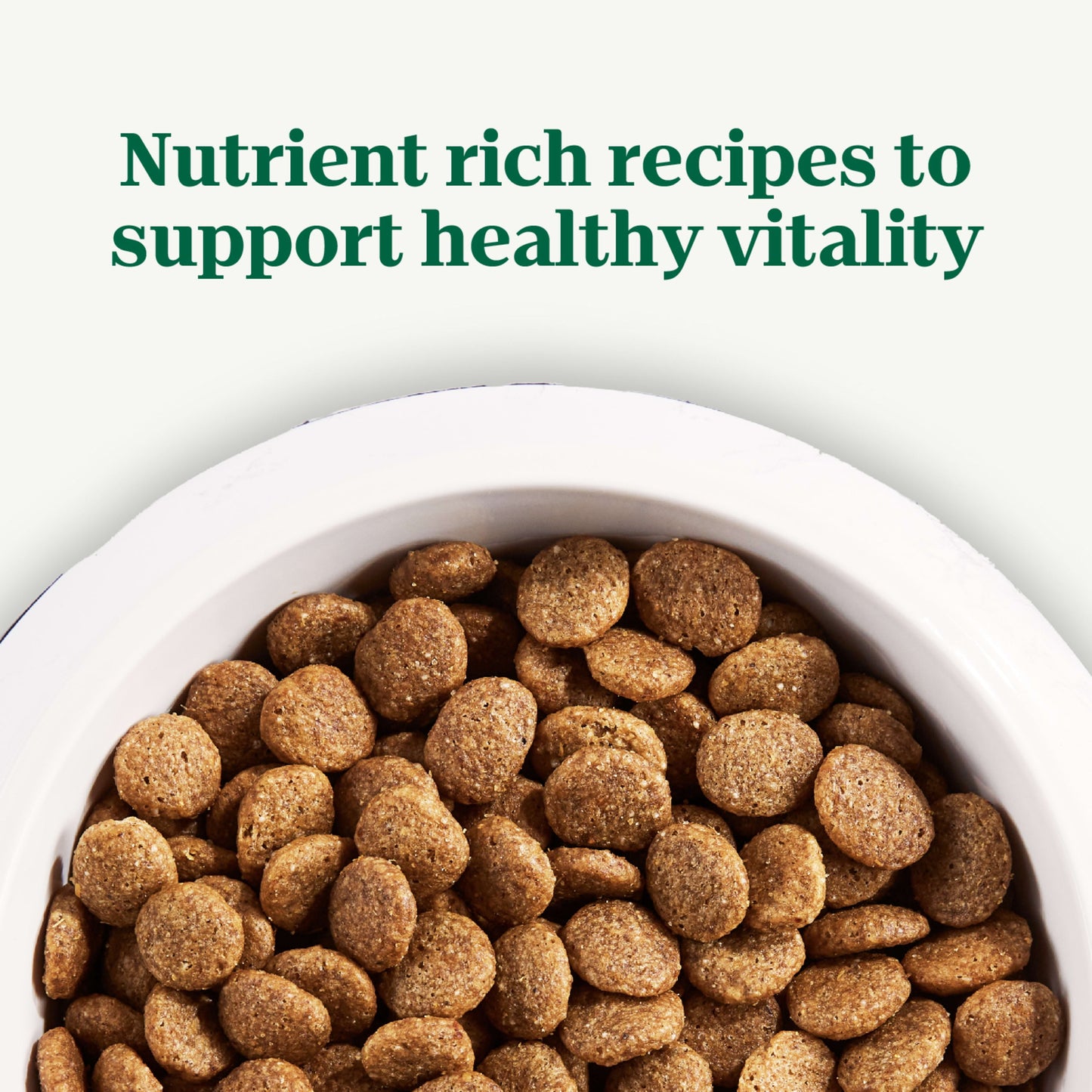 Nutro Natural Choice Large Breed Puppy Dry Dog Food, Chicken And Brown Rice, 13 Lbs.