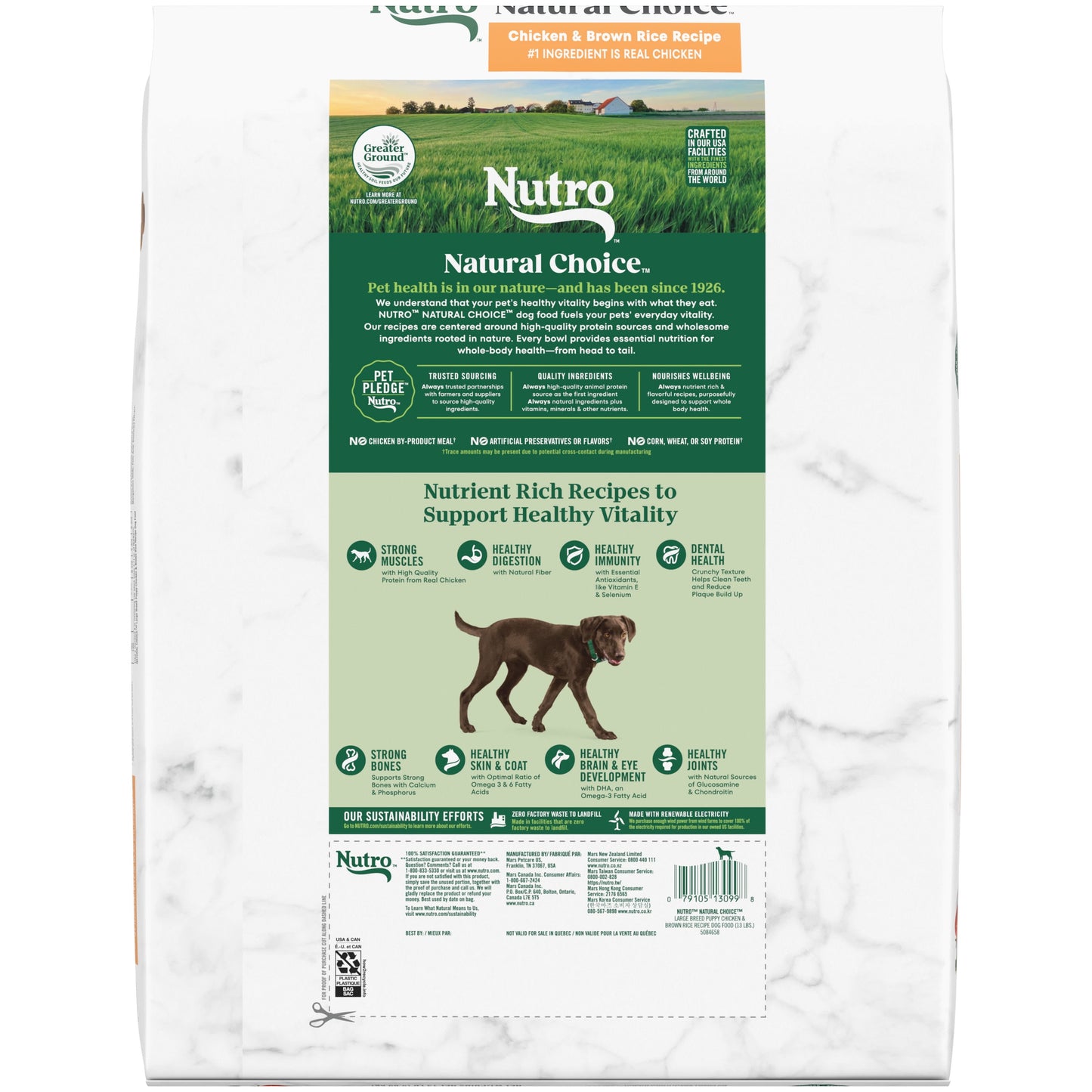 Nutro Natural Choice Large Breed Puppy Dry Dog Food, Chicken And Brown Rice, 13 Lbs.