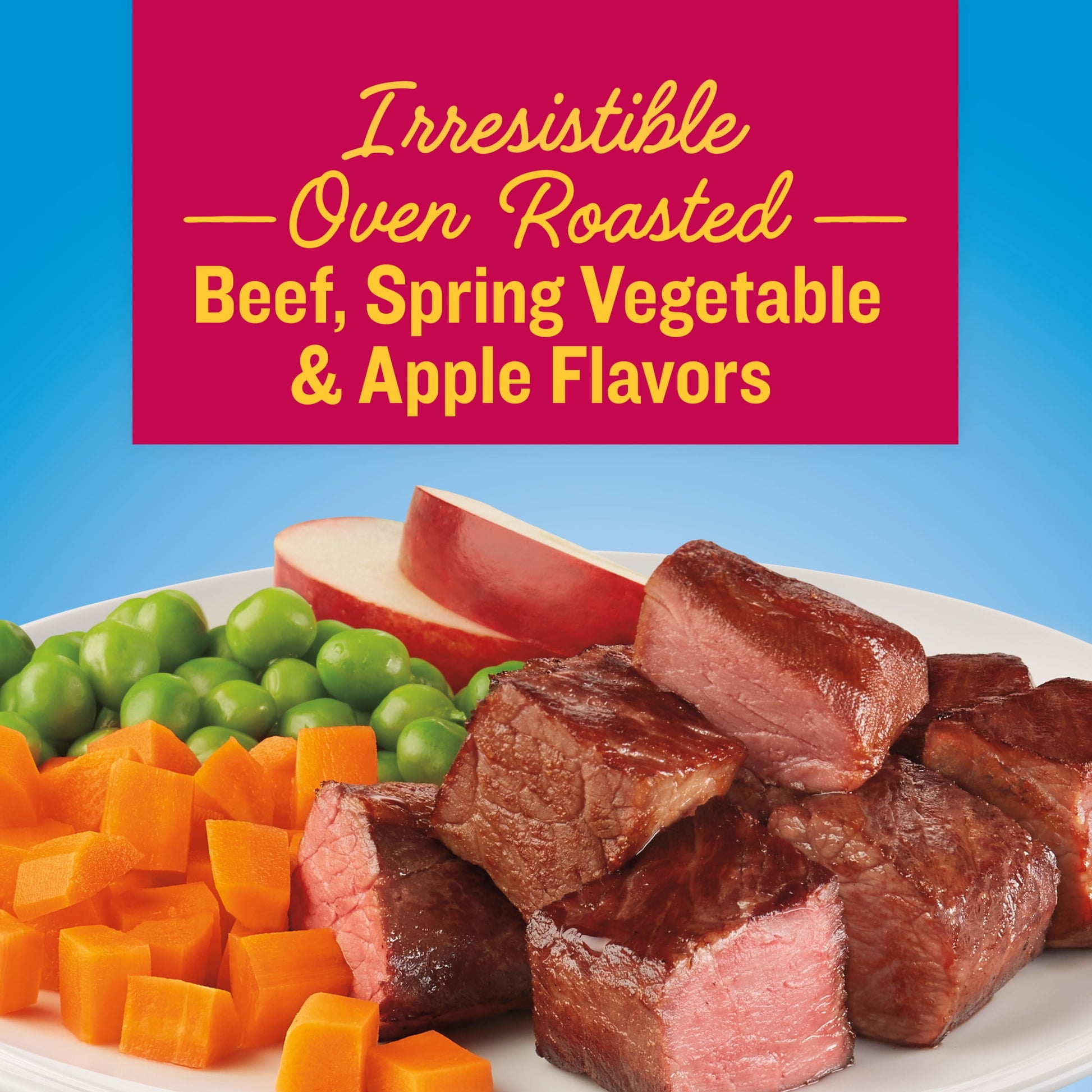 Kibbles ‘n Bits Bistro Mini Bits Small Breed Dry Dog Food Beef & Apple Flavors, (1) 16 lb. Bag