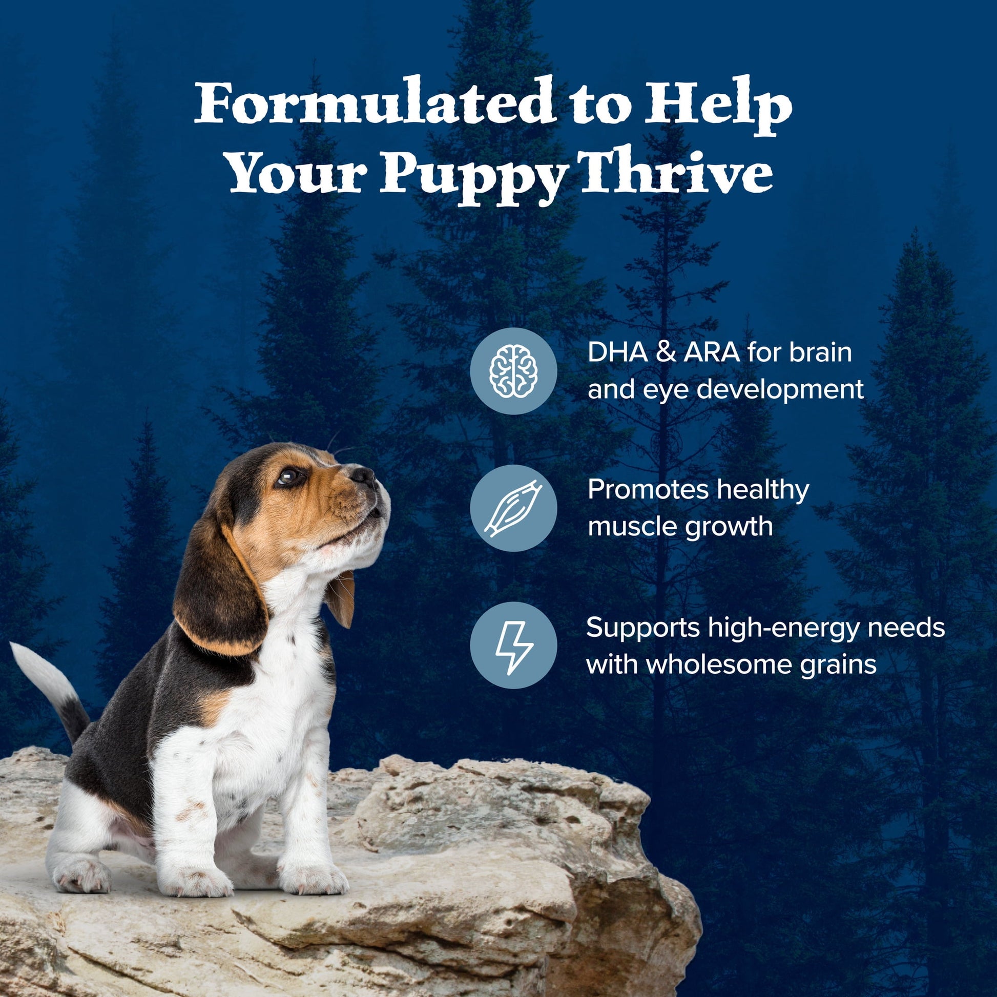Blue Buffalo Wilderness High-Protein Natural Puppy Dry Food, Chicken Recipe, 4.5-lb. Bag
