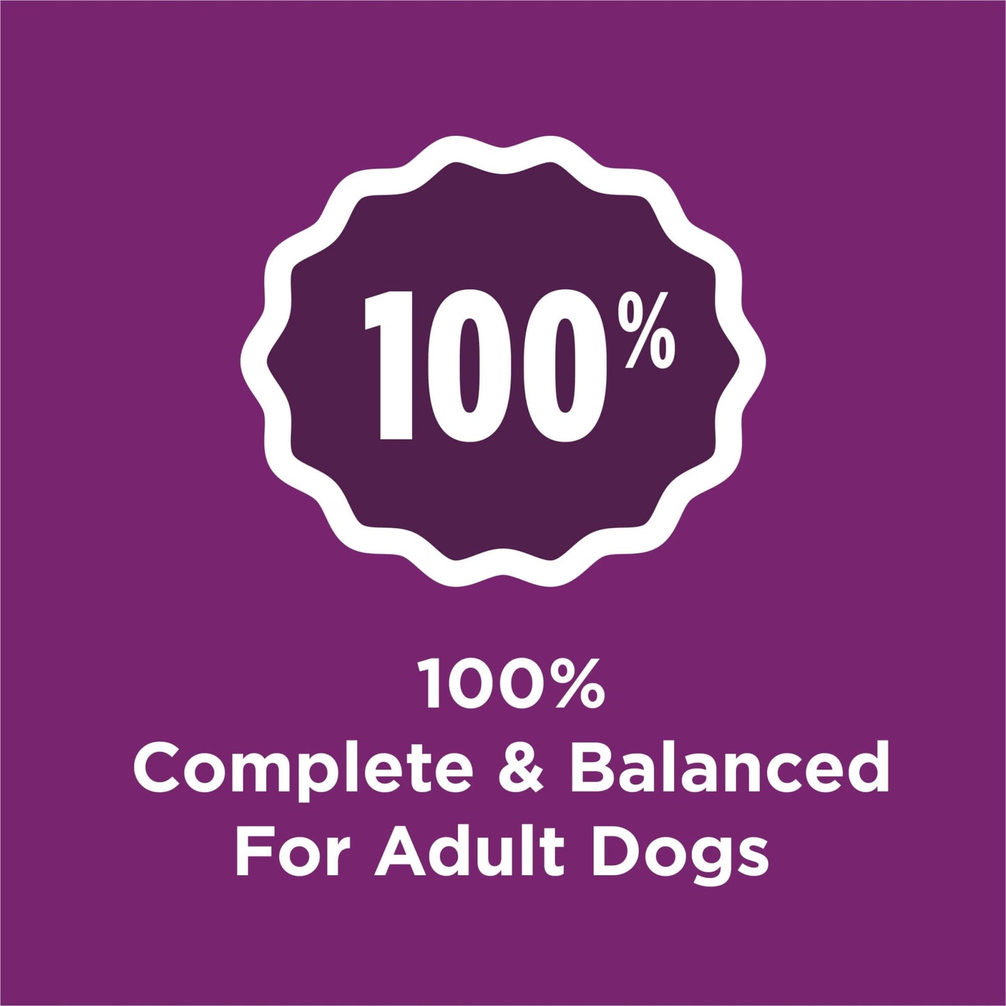 Purina Dog Chow Complete Adult Dry Dog Food Kibble with Lamb Flavor (Pack of 3)