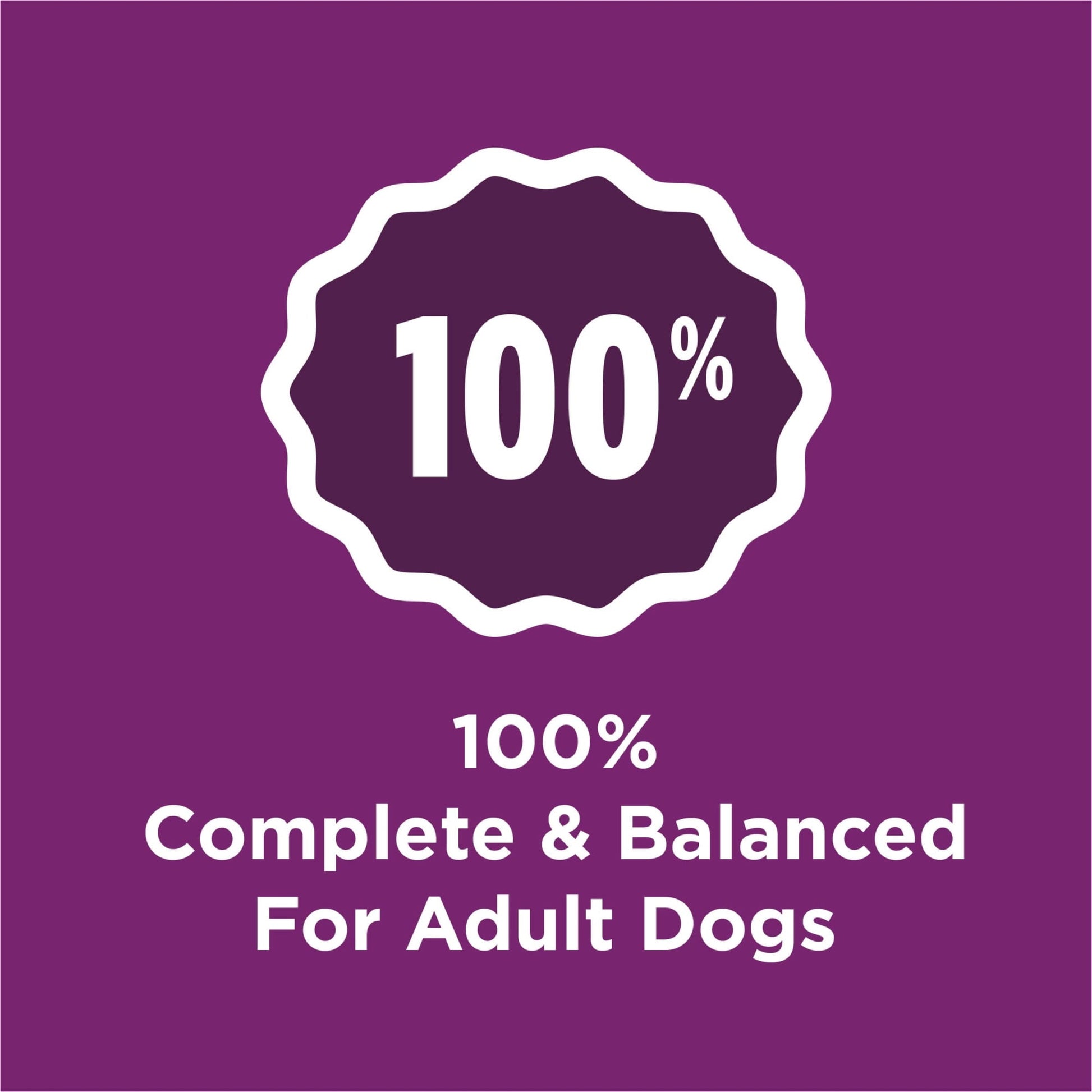 Purina Dog Chow Complete Adult Dry Dog Food Kibble with Lamb Flavor (Pack of 3)