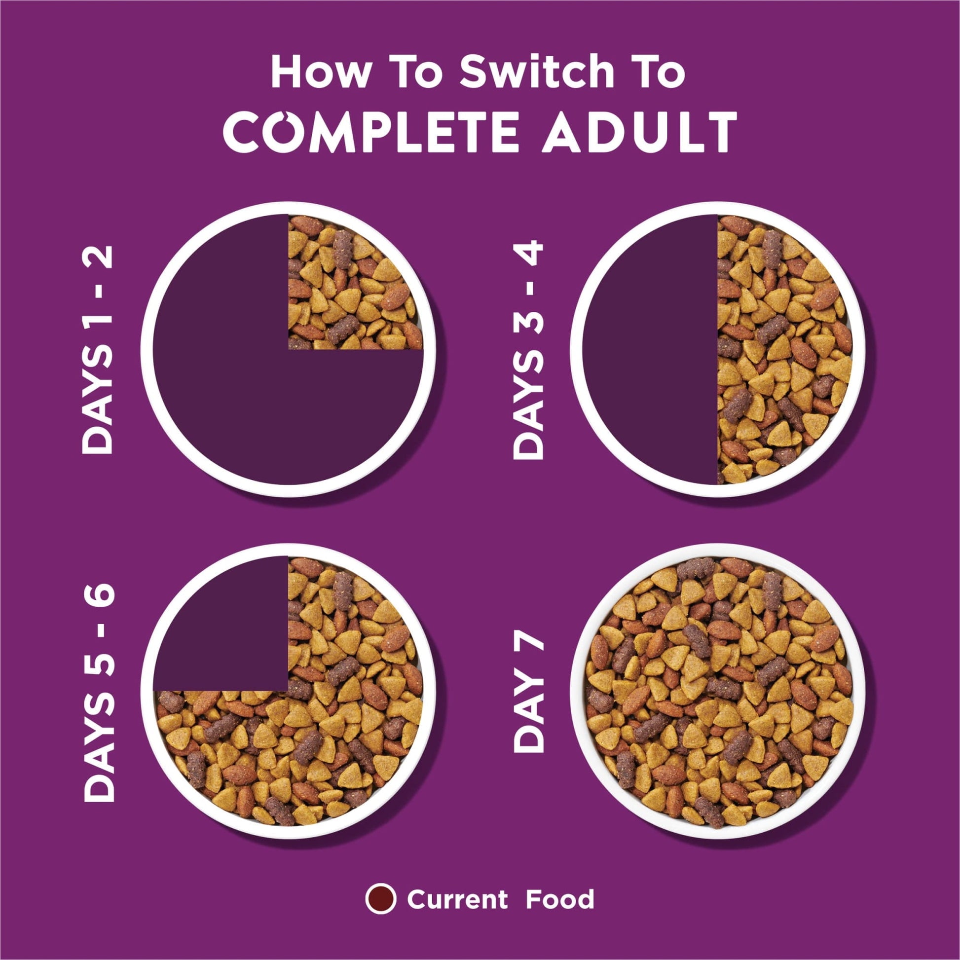 Purina Dog Chow Complete Adult Dry Dog Food Kibble with Lamb Flavor (Pack of 24)