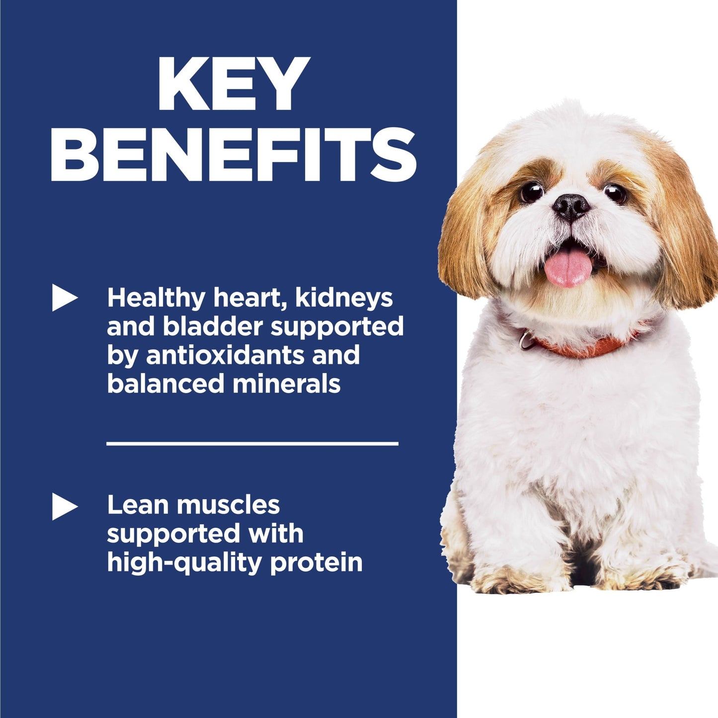 Hill's Science Diet Small Bites Chicken, Barley & Rice Dry Dog Food for 7+ Senior Dogs, 5lb Bag