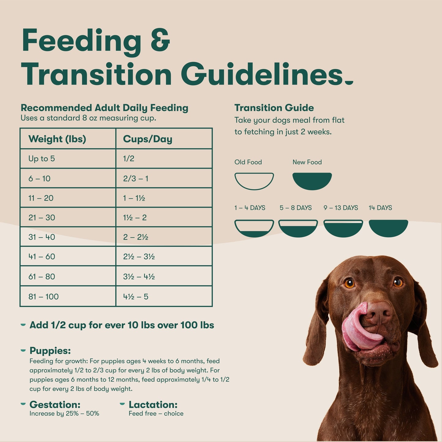 Jinx Beef Brown Rice Sweet Potato 4lb Dry Dog Food Bag