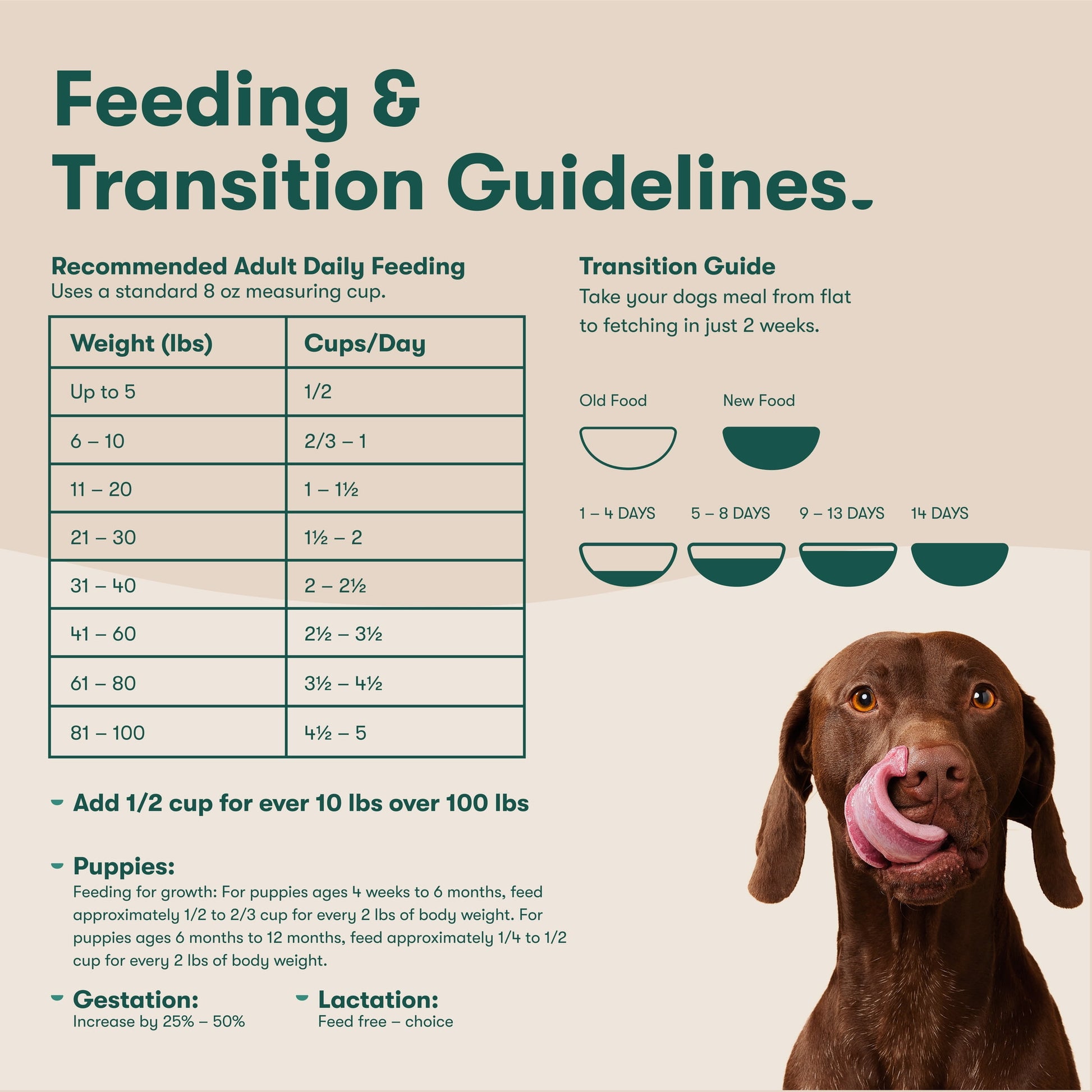 Jinx Beef Brown Rice Sweet Potato 4lb Dry Dog Food Bag