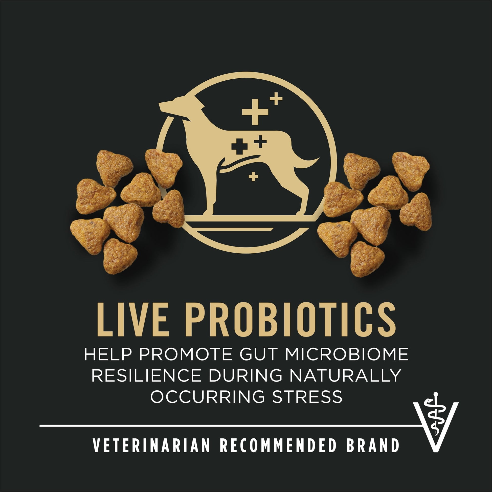 Purina Pro Plan High Protein Dry Dog Food, Small Bites Lamb and Rice Formula