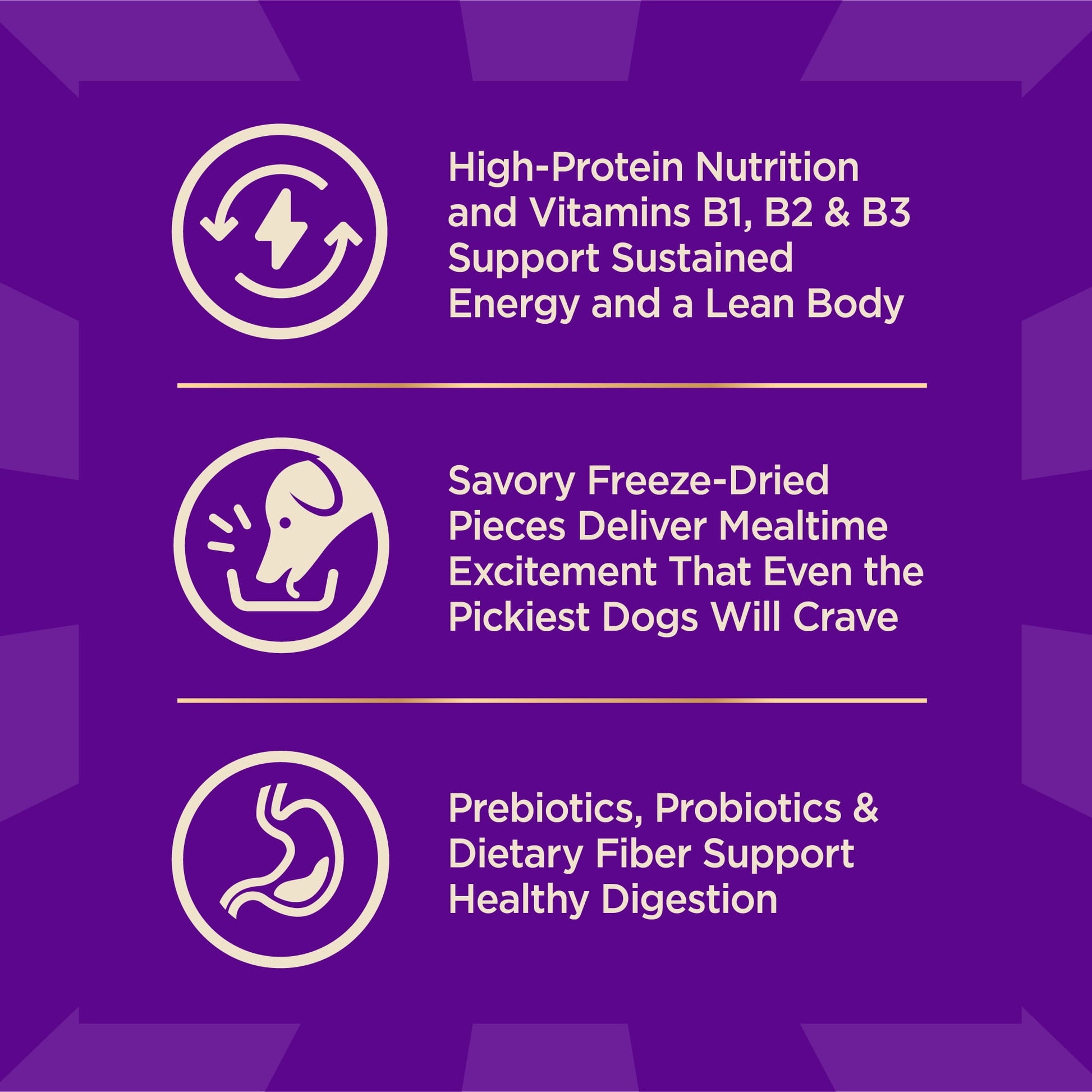 Wellness CORE+ Dry Dog Food with Freeze Dried Pieces, Small Breed, Wholesome Grains, High Protein, Natural, Original Turkey & Chicken Recipe, (10-Pound Bag)