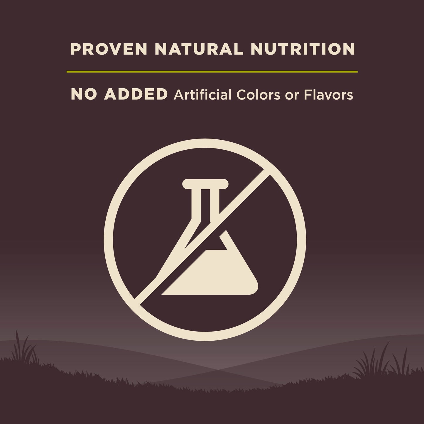 Wellness CORE Natural Grain Free Dry Dog Food, Small Breed Healthy Weight, 12-Pound Bag