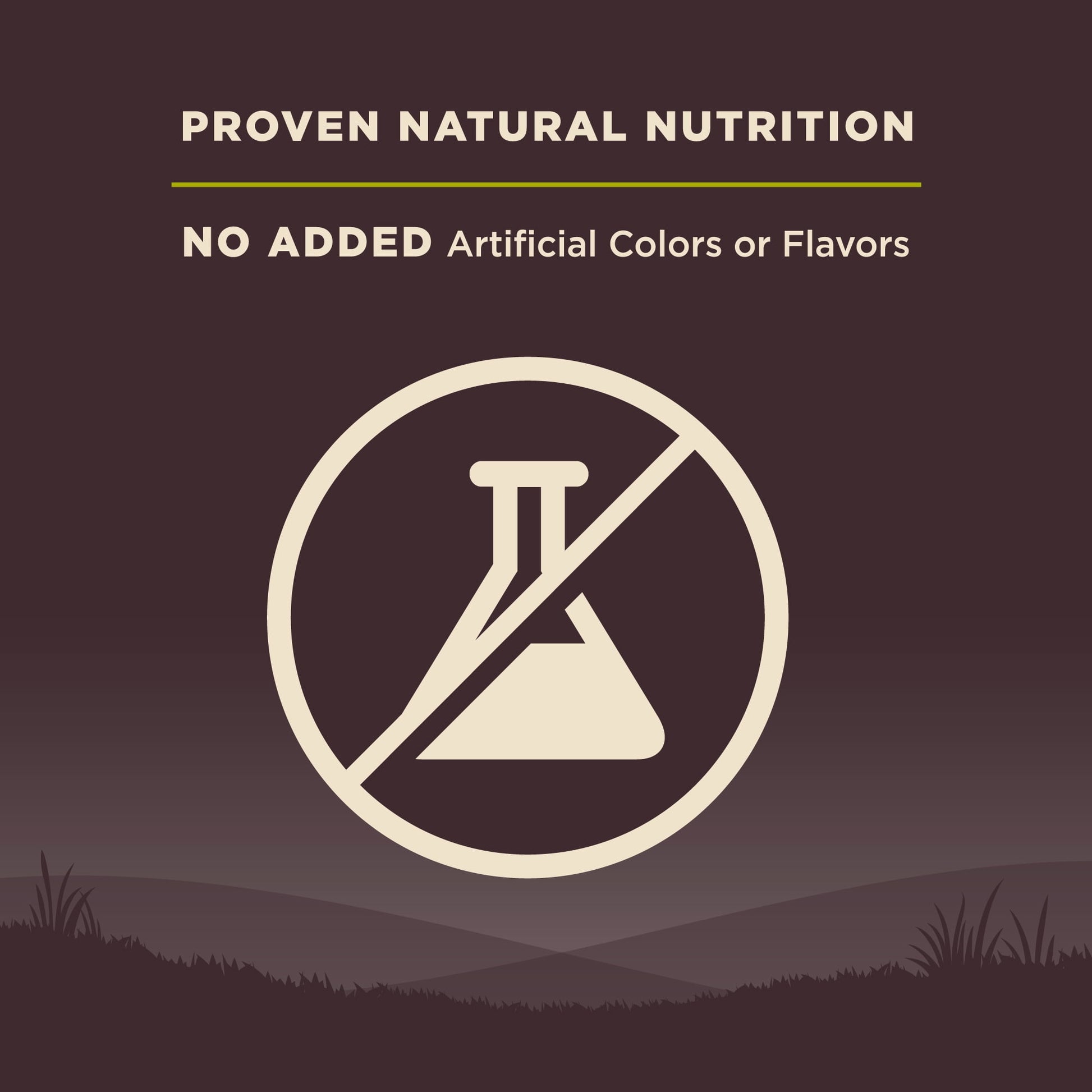 Wellness CORE Natural Grain Free Dry Dog Food, Small Breed Healthy Weight, 12-Pound Bag