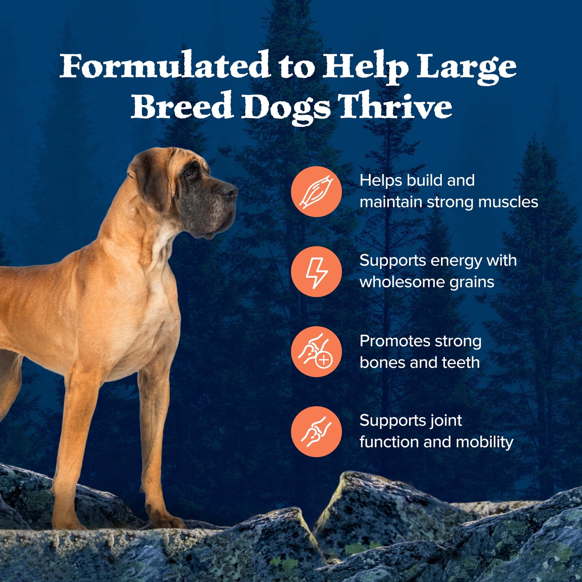 Blue Buffalo Wilderness Large Breed Dry Dog Food Plus Wholesome Grains, Chicken, 24 lbs.