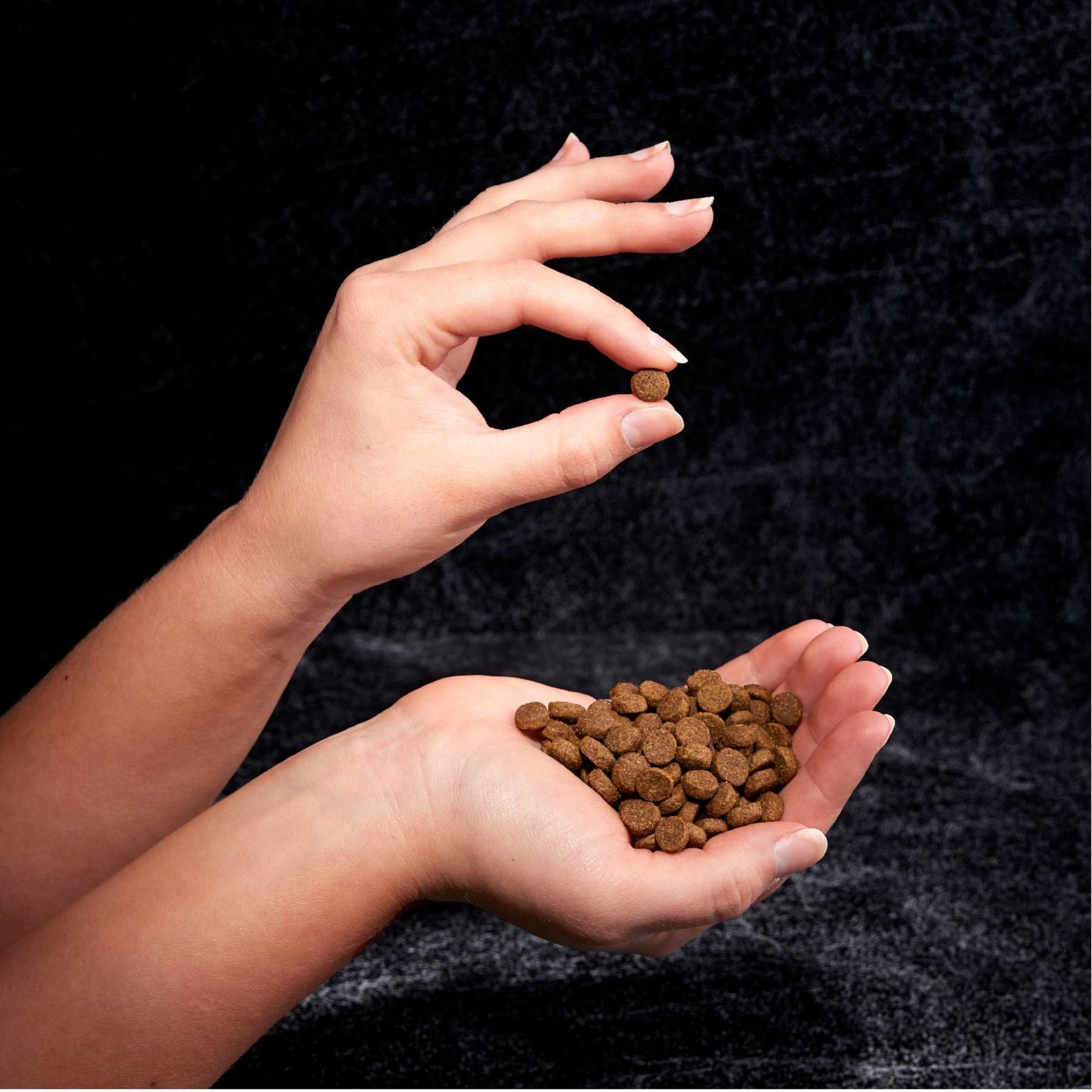 Crave Grain Free Adult Dry Dog Food With Protein From Chicken, 22 Lb. Bag