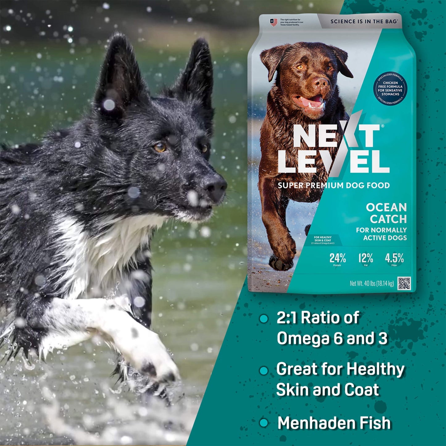Next Level, Ocean Catch Skin & Coat Recipe, Dry Dog Food, 40 lbs