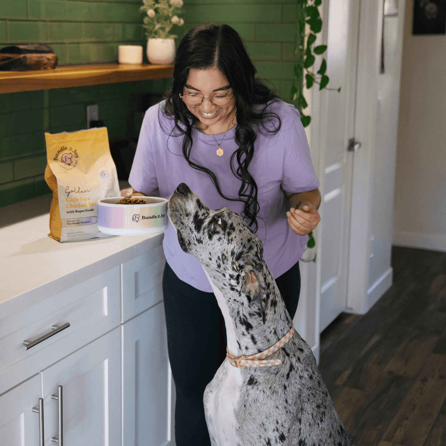 Bundle x Joy Golden Gut-Friendly Cage-Free Chicken Flavor Dry Dog Food, 4 lb Bag
