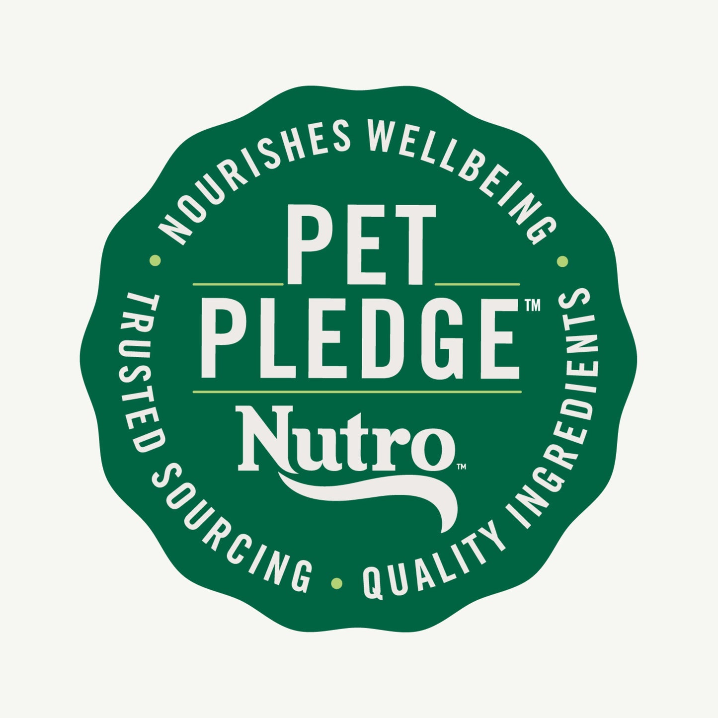 Nutro Natural Choice Large Breed Puppy Dry Dog Food, Chicken And Brown Rice, 13 Lbs.