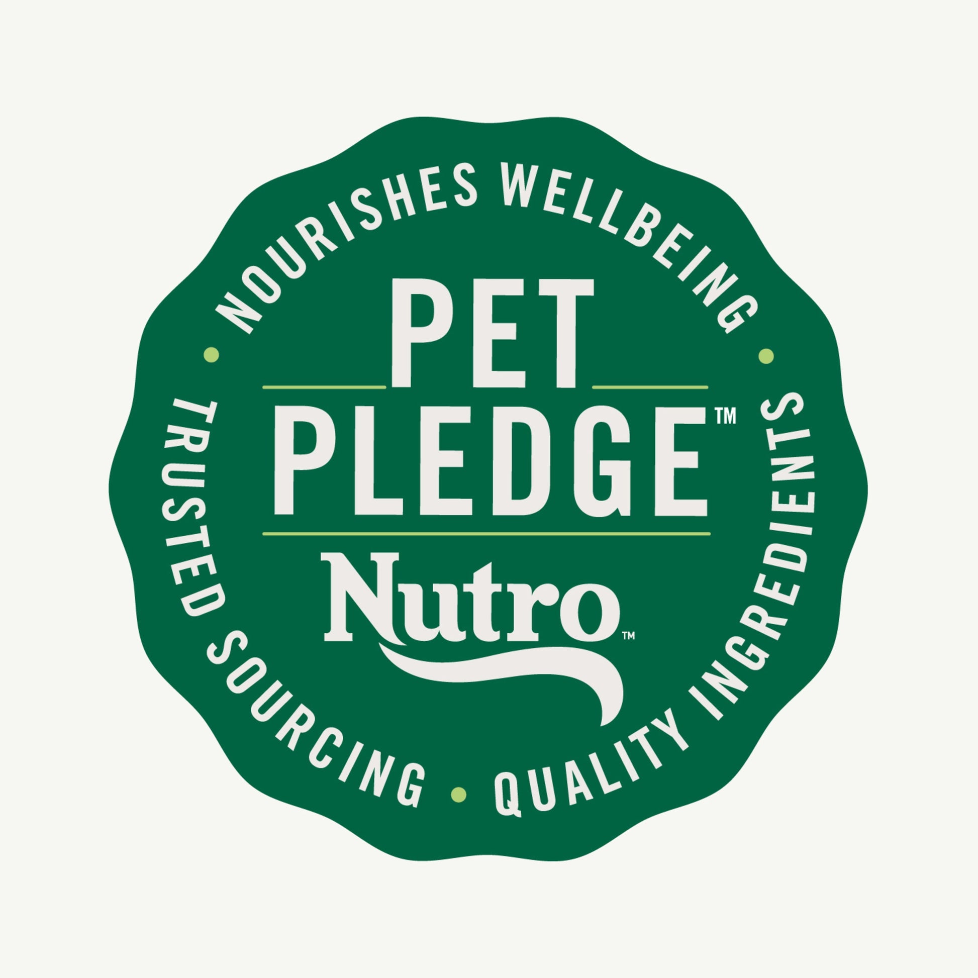 Nutro Natural Choice Large Breed Puppy Dry Dog Food, Chicken And Brown Rice, 13 Lbs.
