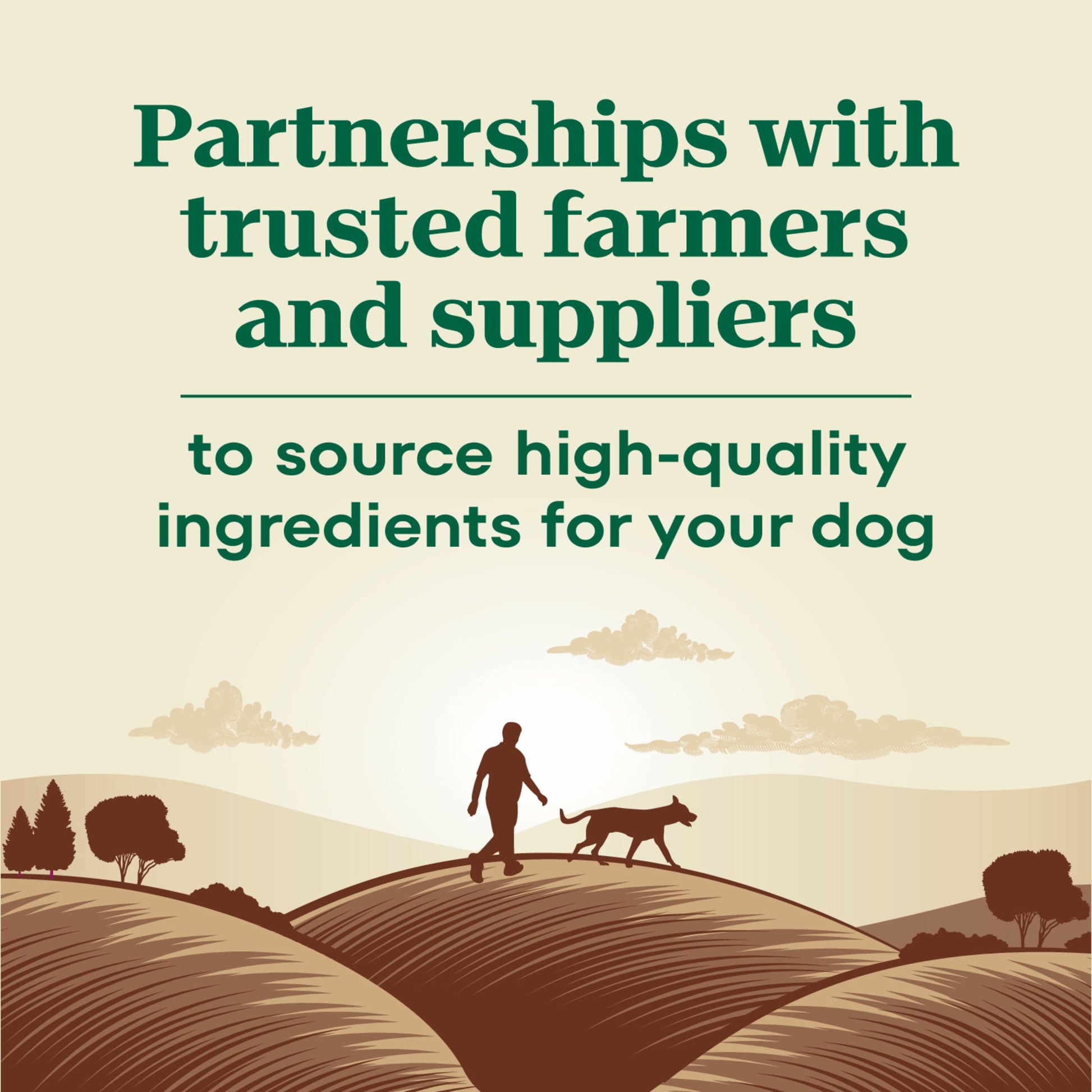 Nutro Max Senior Dry Dog Food With Farm-Raised Chicken, 25 Lb. Bag