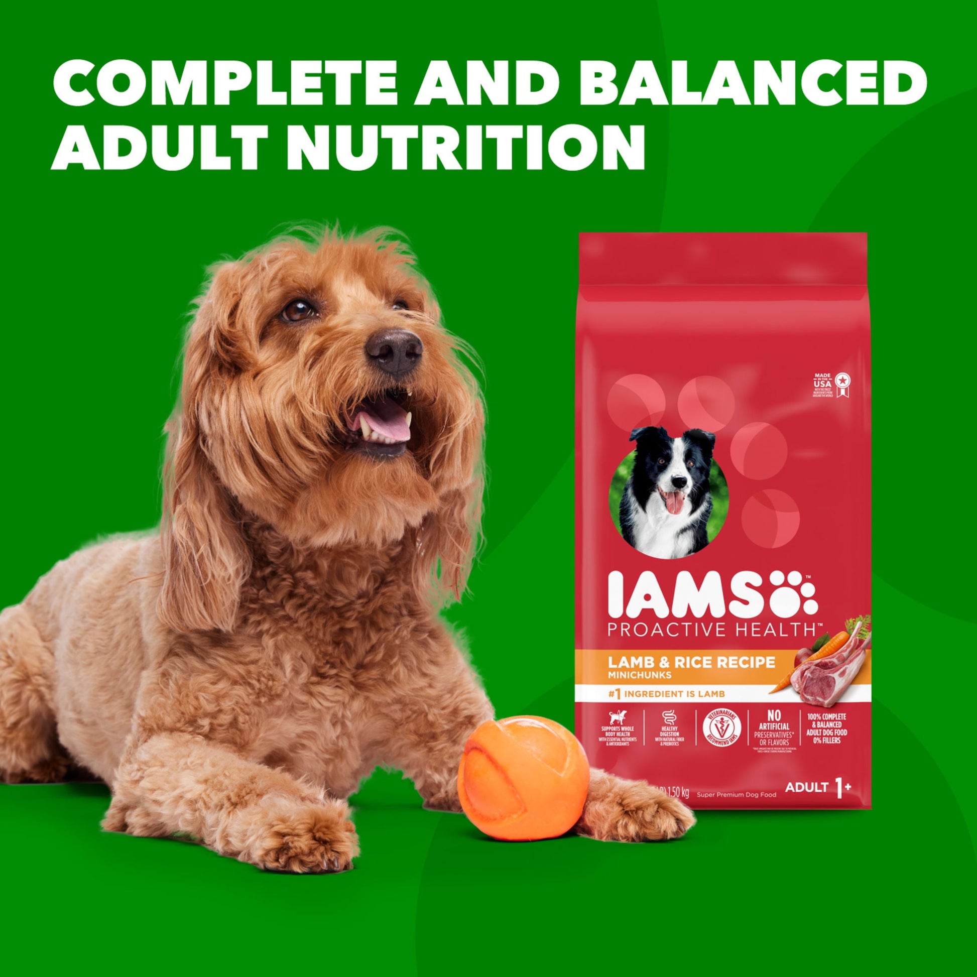 Iams Proactive Health Minichunks Dry Dog Food With Real Lamb & Rice, 15 Lb. Bag
