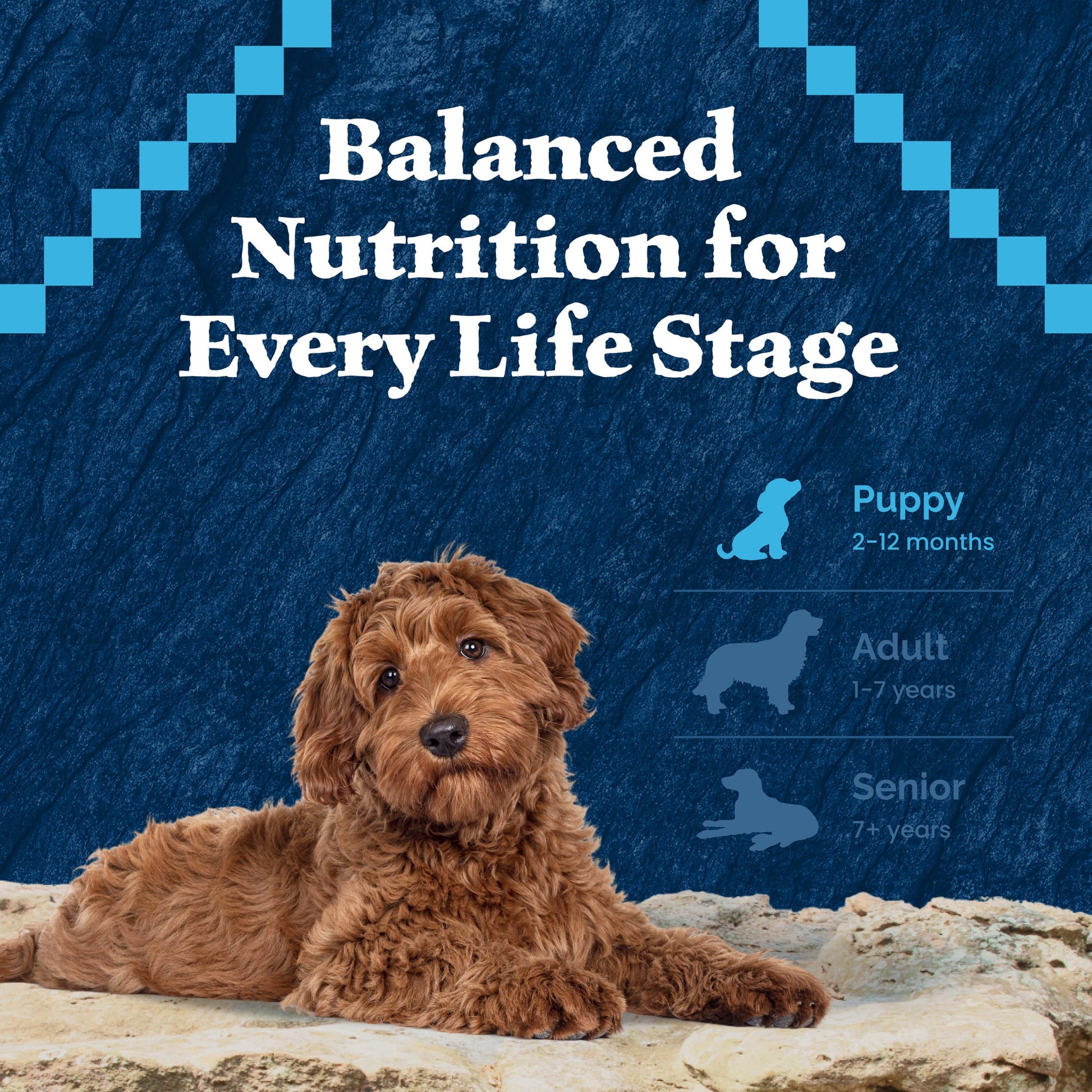 Blue Buffalo Wilderness High-Protein Natural Puppy Dry Food, Chicken Recipe, 4.5-lb. Bag