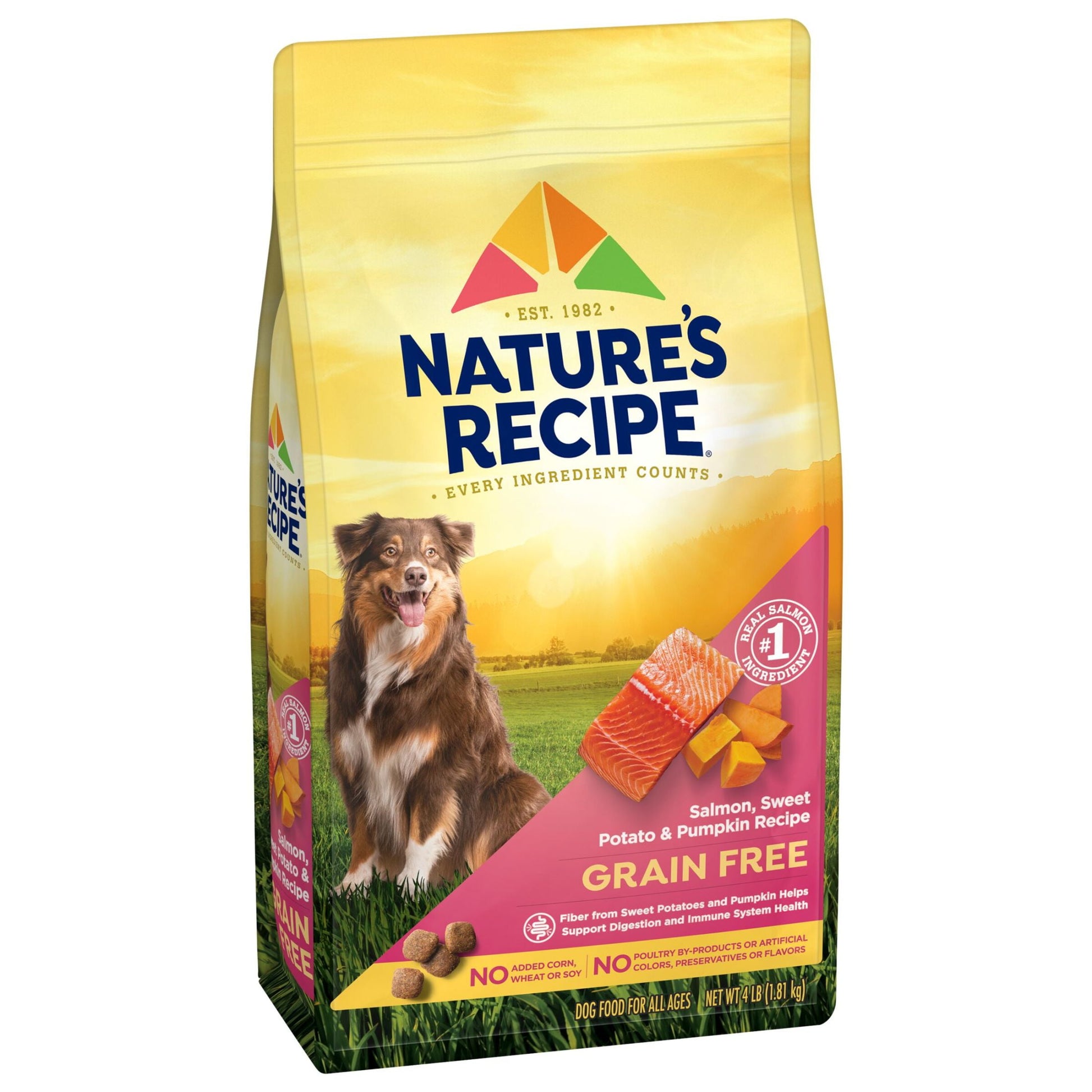 Nature′s Recipe Grain Free Salmon, Sweet Potato & Pumpkin Recipe Dry Dog Food, 4 lb. Bag
