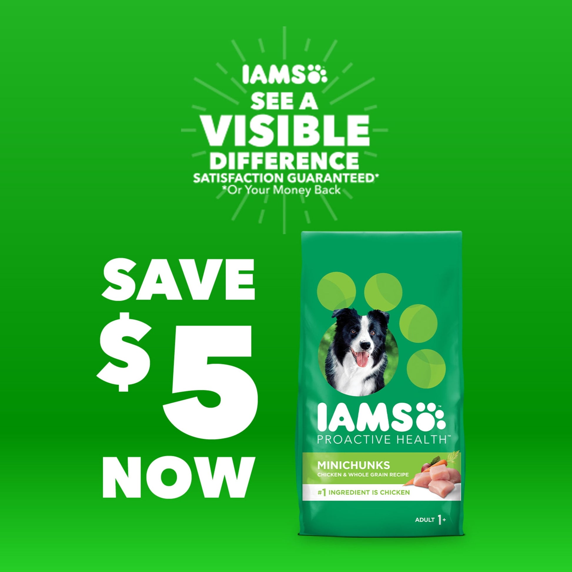 Iams Adult Healthy Weight Control Dry Dog Food With Real Chicken, 7 Lb Bag