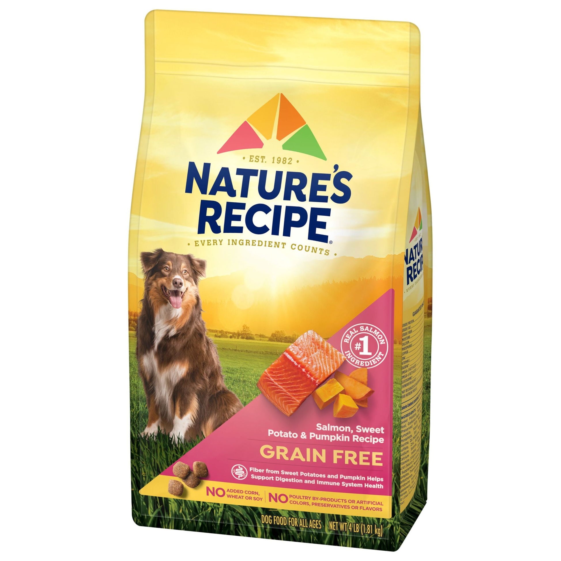 Nature′s Recipe Grain Free Salmon, Sweet Potato & Pumpkin Recipe Dry Dog Food, 4 lb. Bag