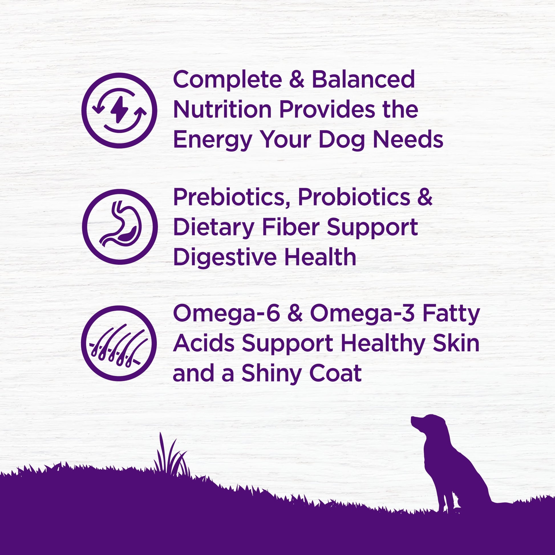 Wellness Complete Health Dry Dog Food, Wholesome Grains, Natural, Chicken & Oatmeal, (30-Pound Bag)