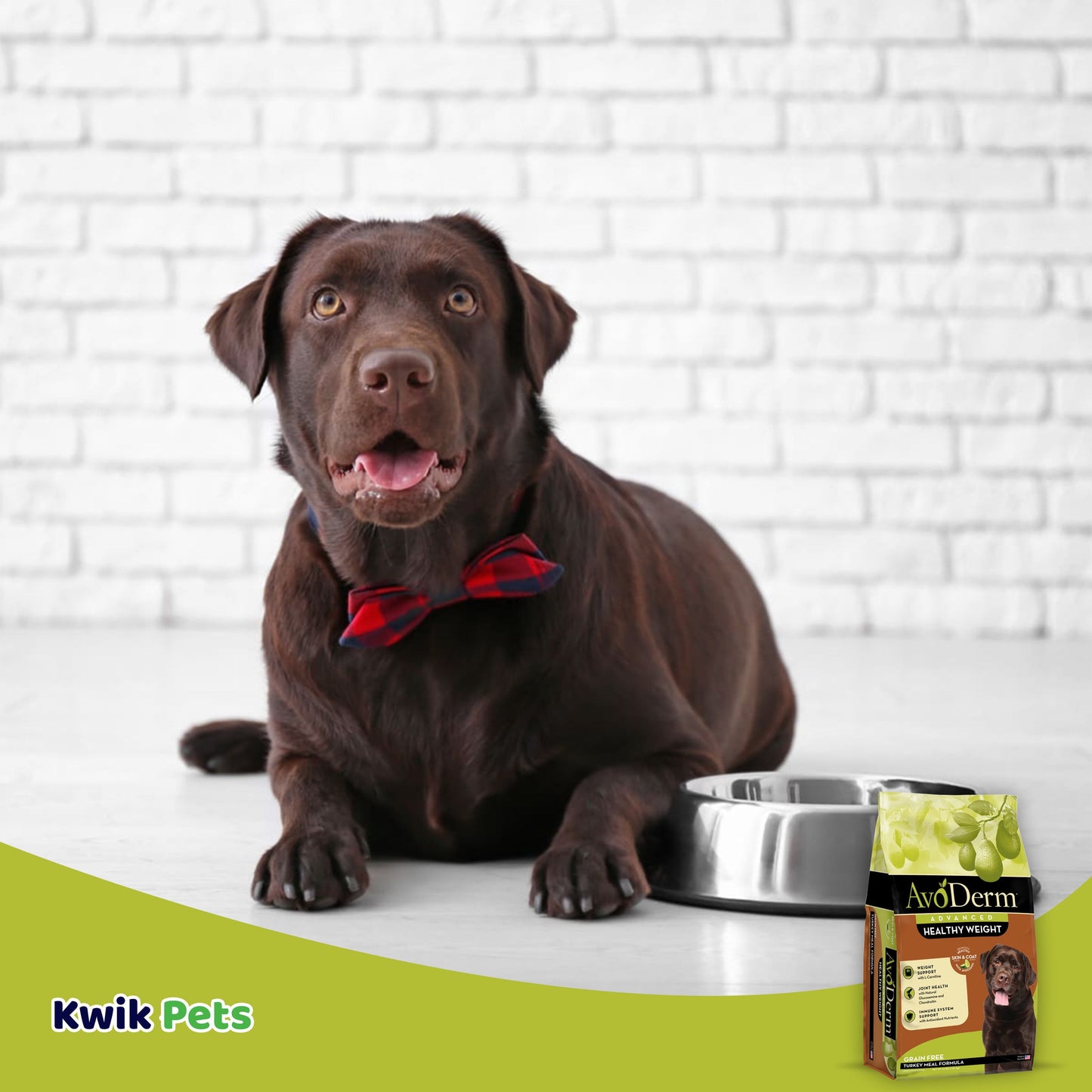 AvoDerm Natural Advanced Healthy Weight Dry Dog Food 4 lb