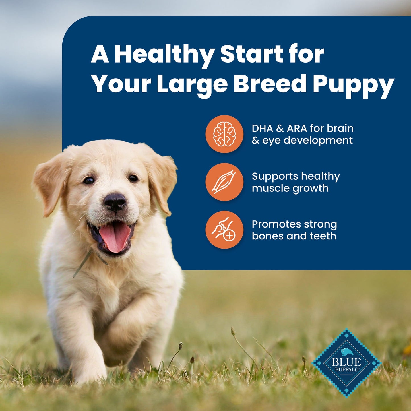Blue Buffalo Life Protection Formula Large Breed Dry Puppy Food, Chicken & Rice, 15 lbs.