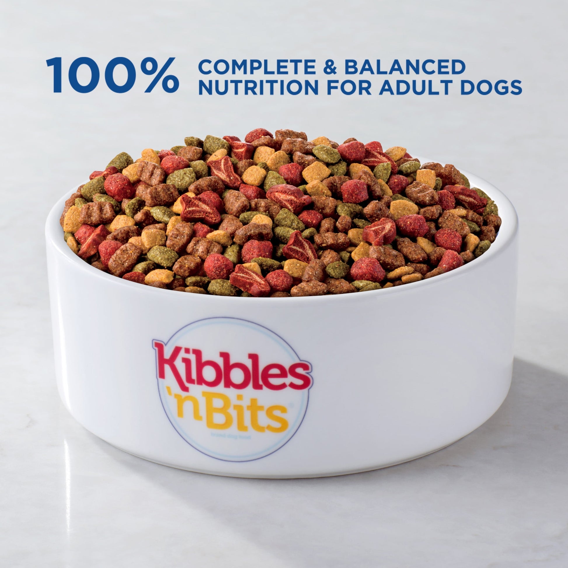Kibbles ‘n Bits Bistro Mini Bits Small Breed Dry Dog Food Beef & Apple Flavors, (1) 16 lb. Bag