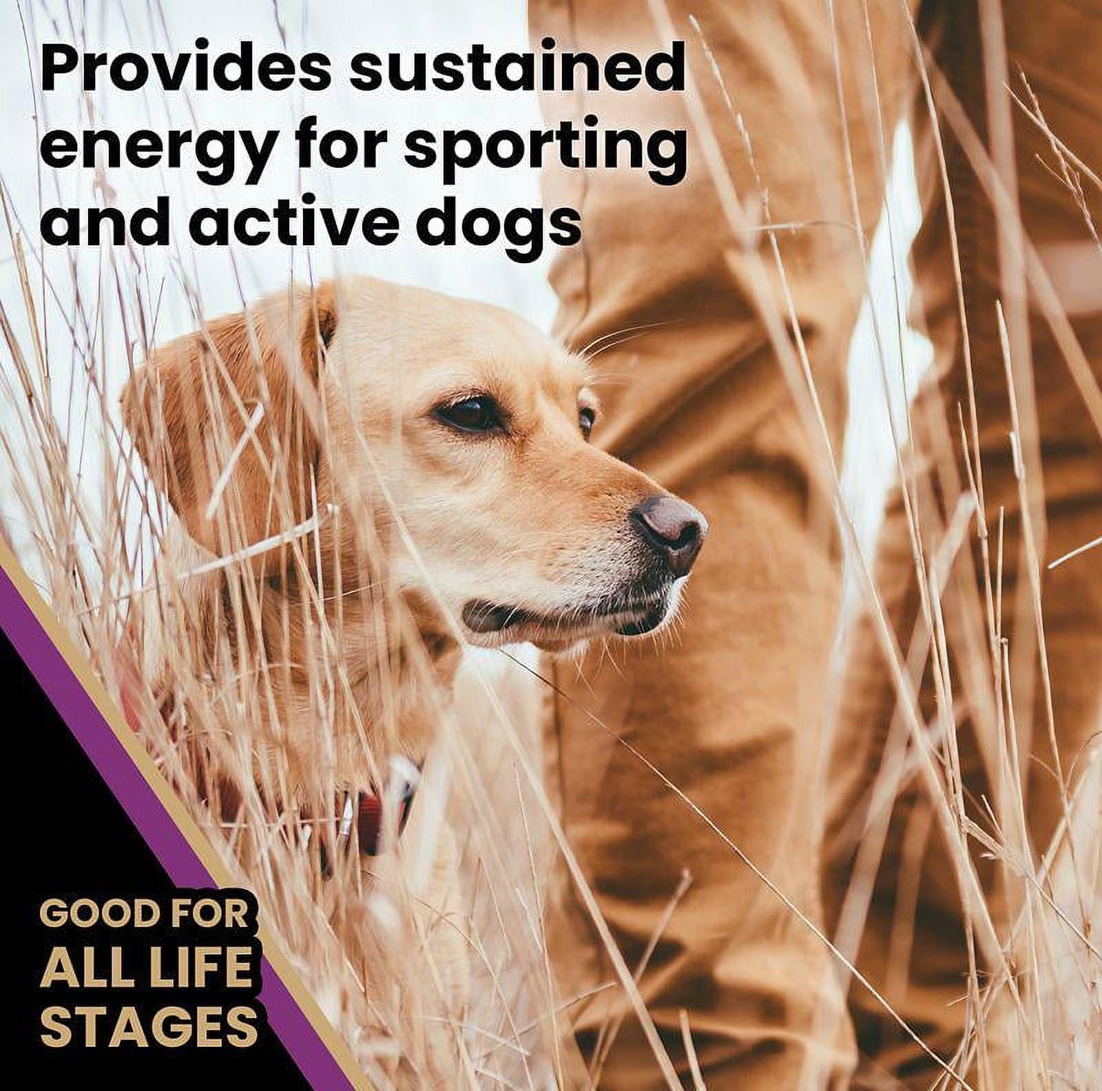 Victor Classic Professional Formula All Life Stages Dry Dog Food 40 lb
