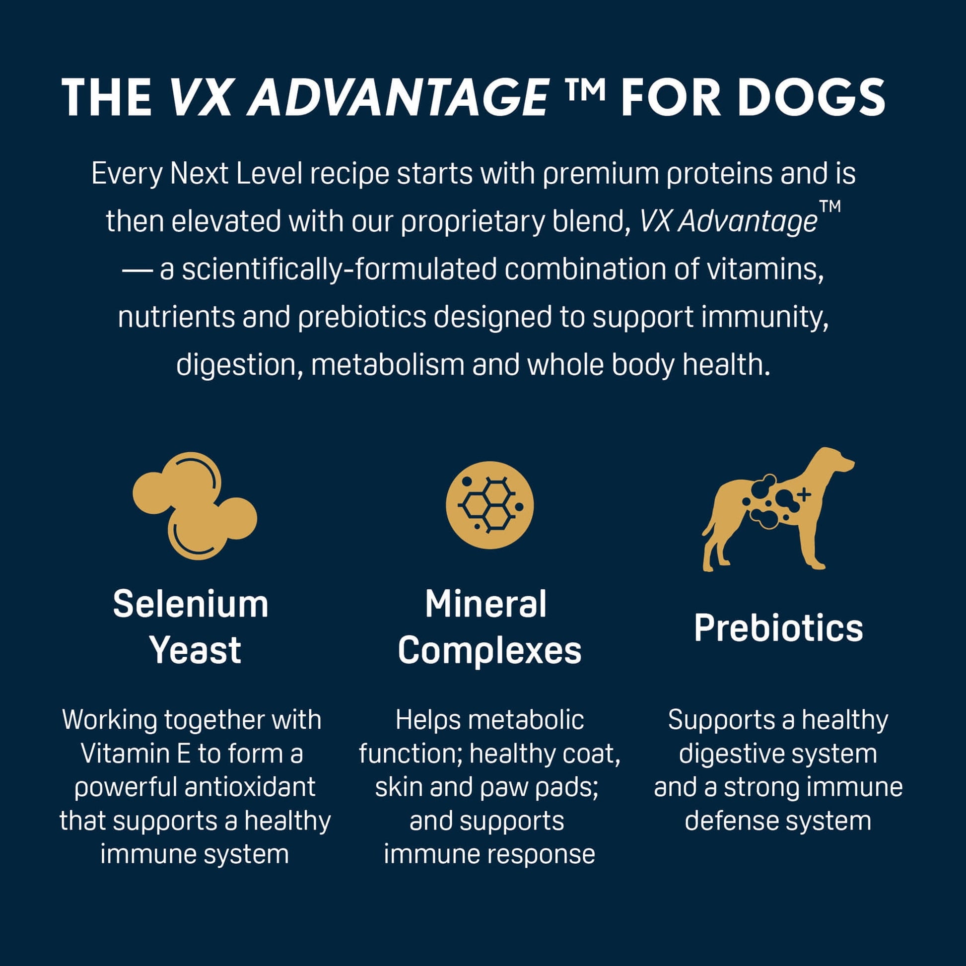 Next Level, Ocean Catch Skin & Coat Recipe, Dry Dog Food, 40 lbs