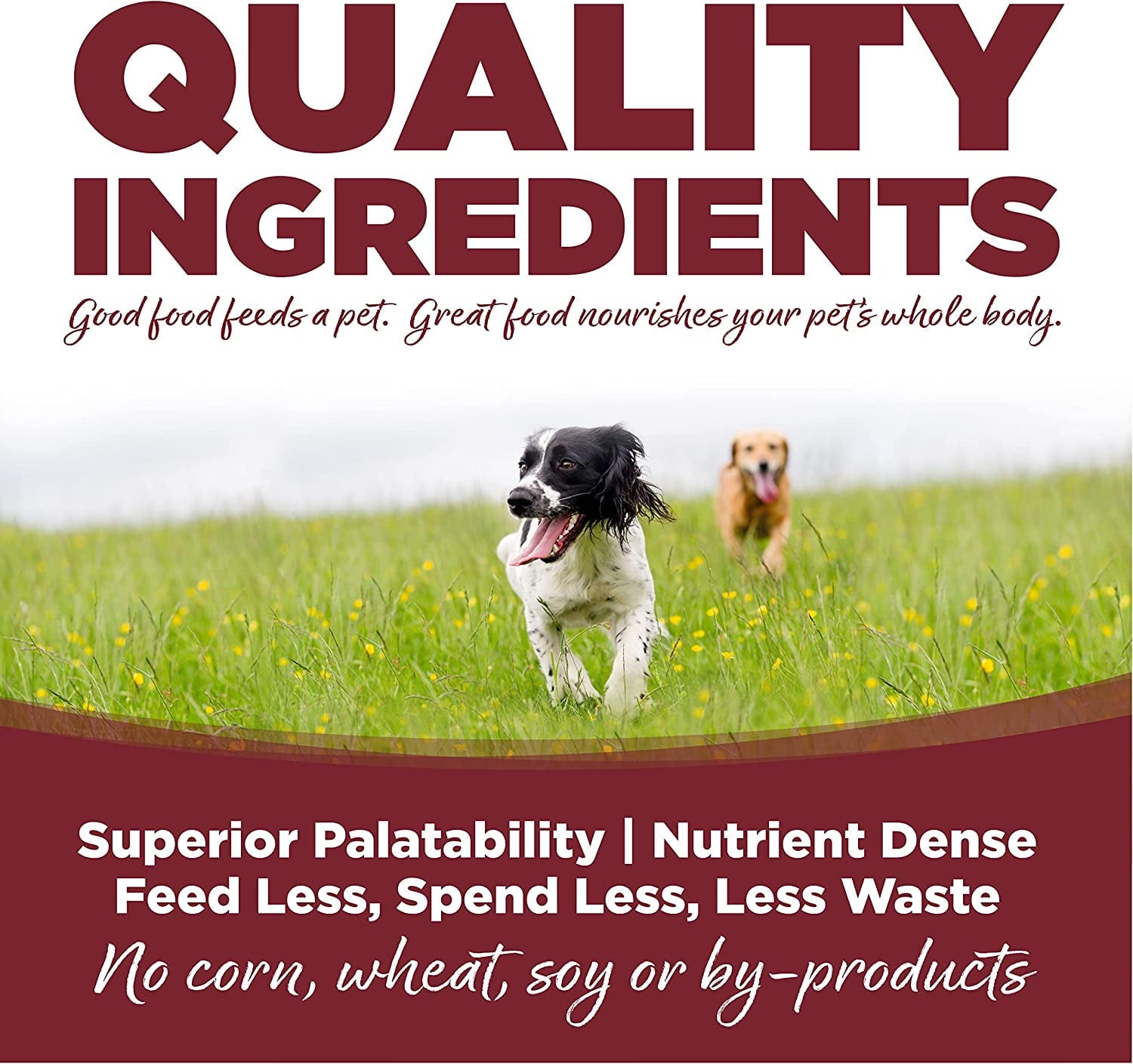 NutriSource For All Life Stages Beef & Rice Recipe Dog Food 26 lb