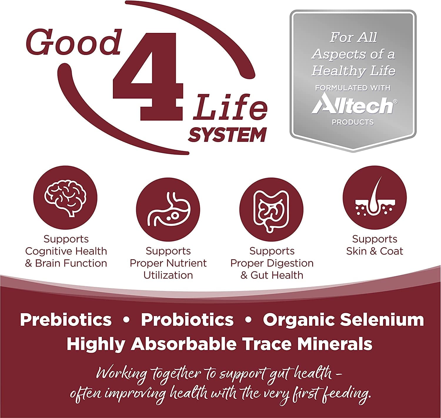 NutriSource For All Life Stages Beef & Rice Recipe Dog Food 26 lb