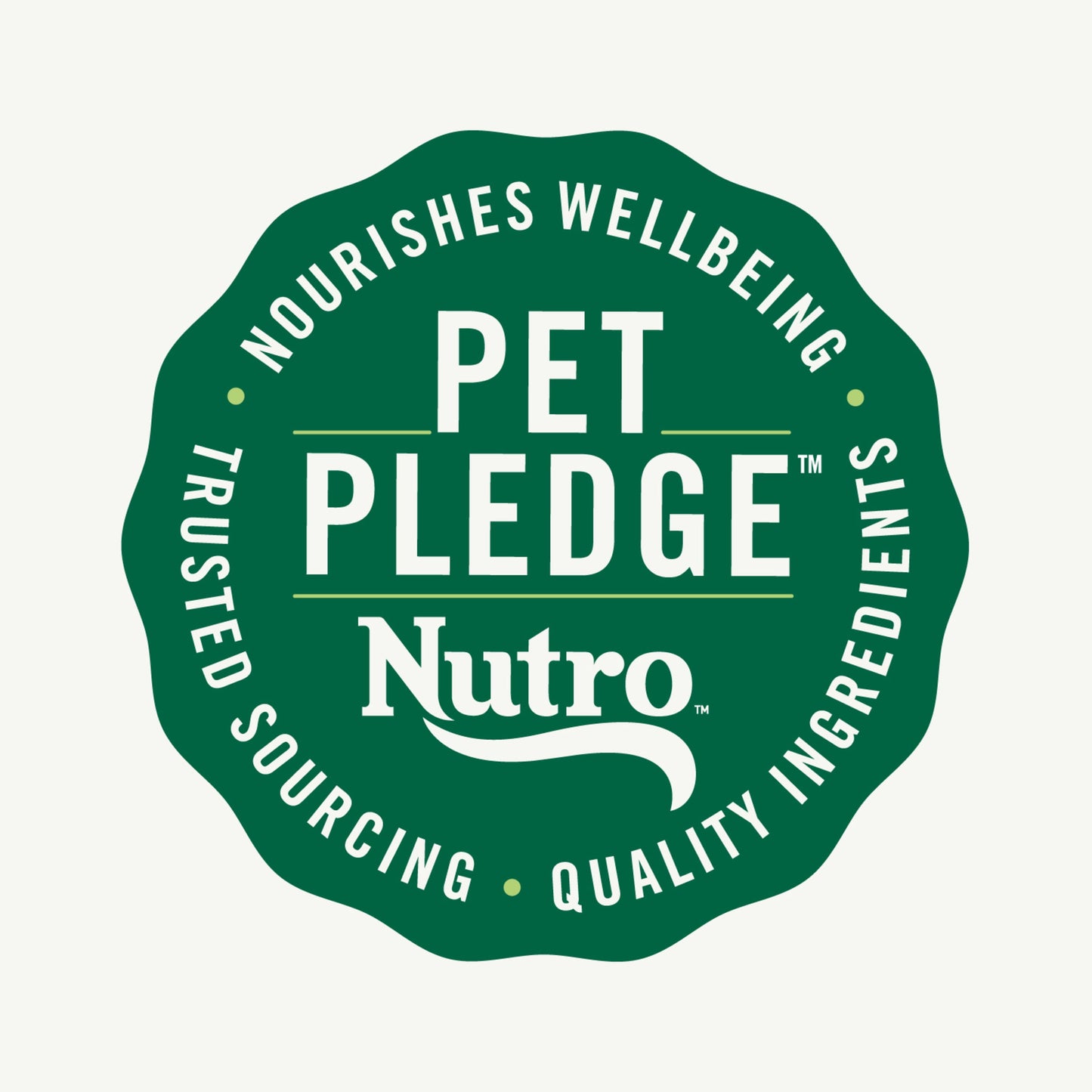 Nutro Natural Choice Small Bites Adult Dry Dog Food, Chicken And Brown Rice, 13 Lbs.
