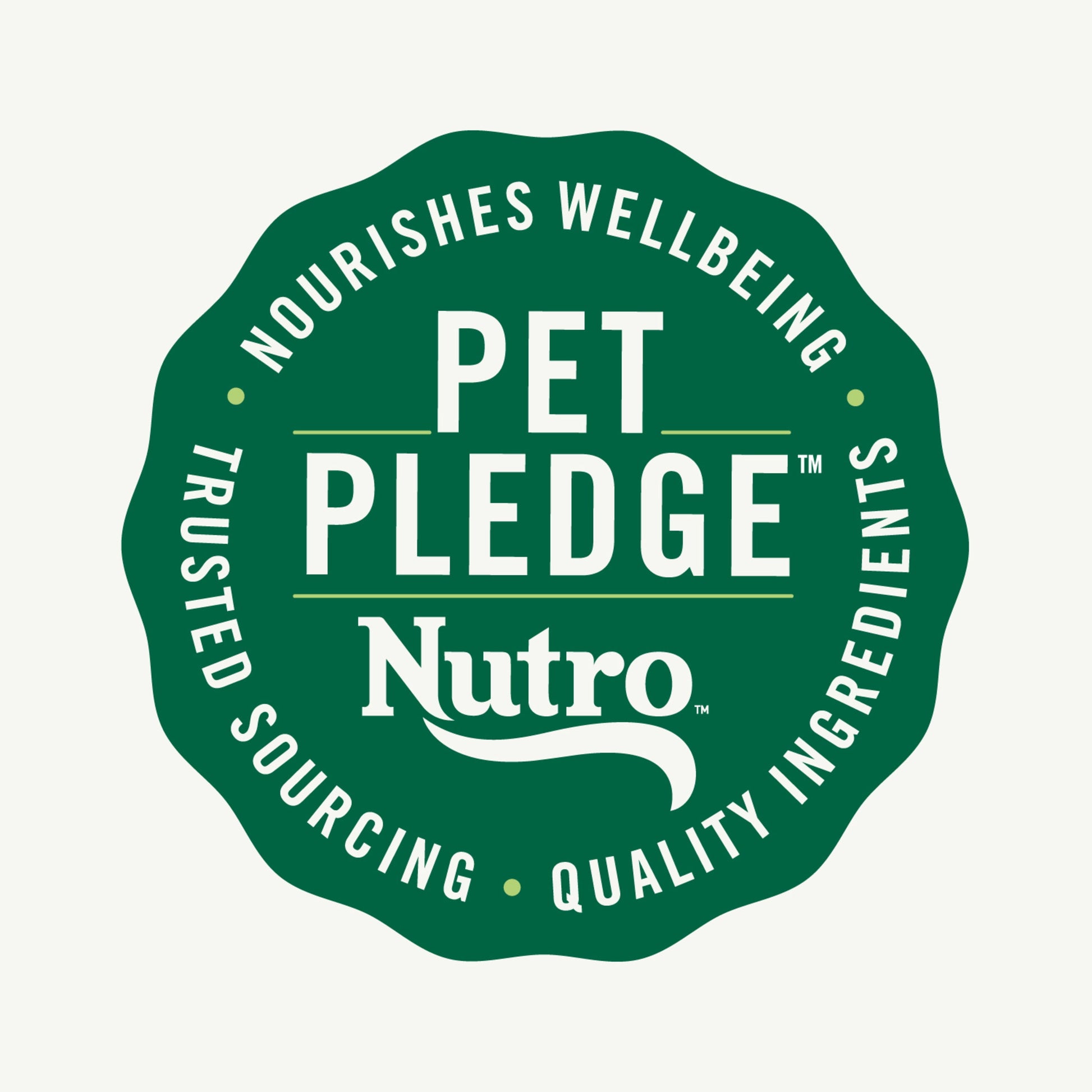 Nutro Natural Choice Small Bites Adult Dry Dog Food, Chicken And Brown Rice, 13 Lbs.