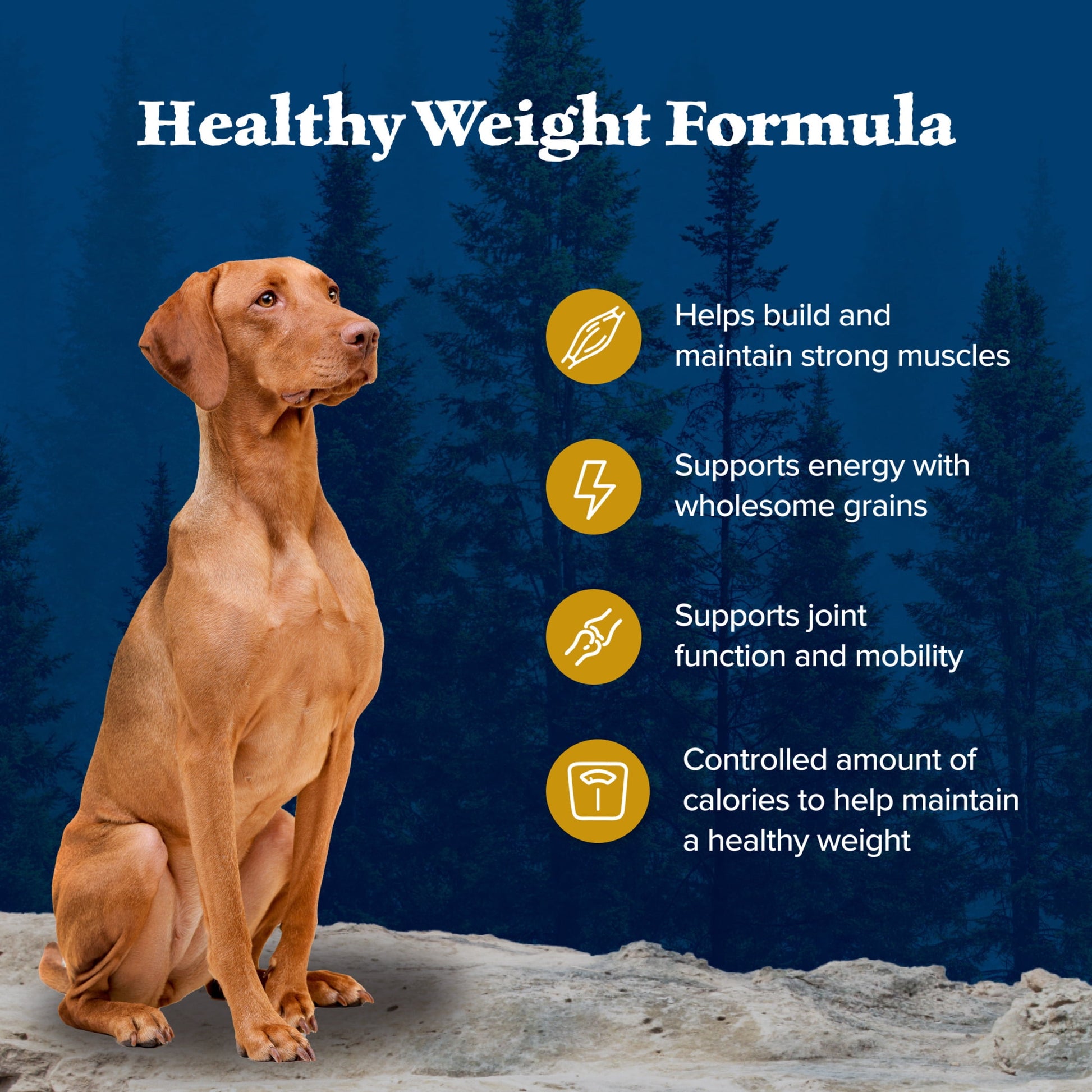 Blue Buffalo Wilderness Healthy Weight Dry Dog Food Plus Wholesome Grains, Chicken 24 lbs.