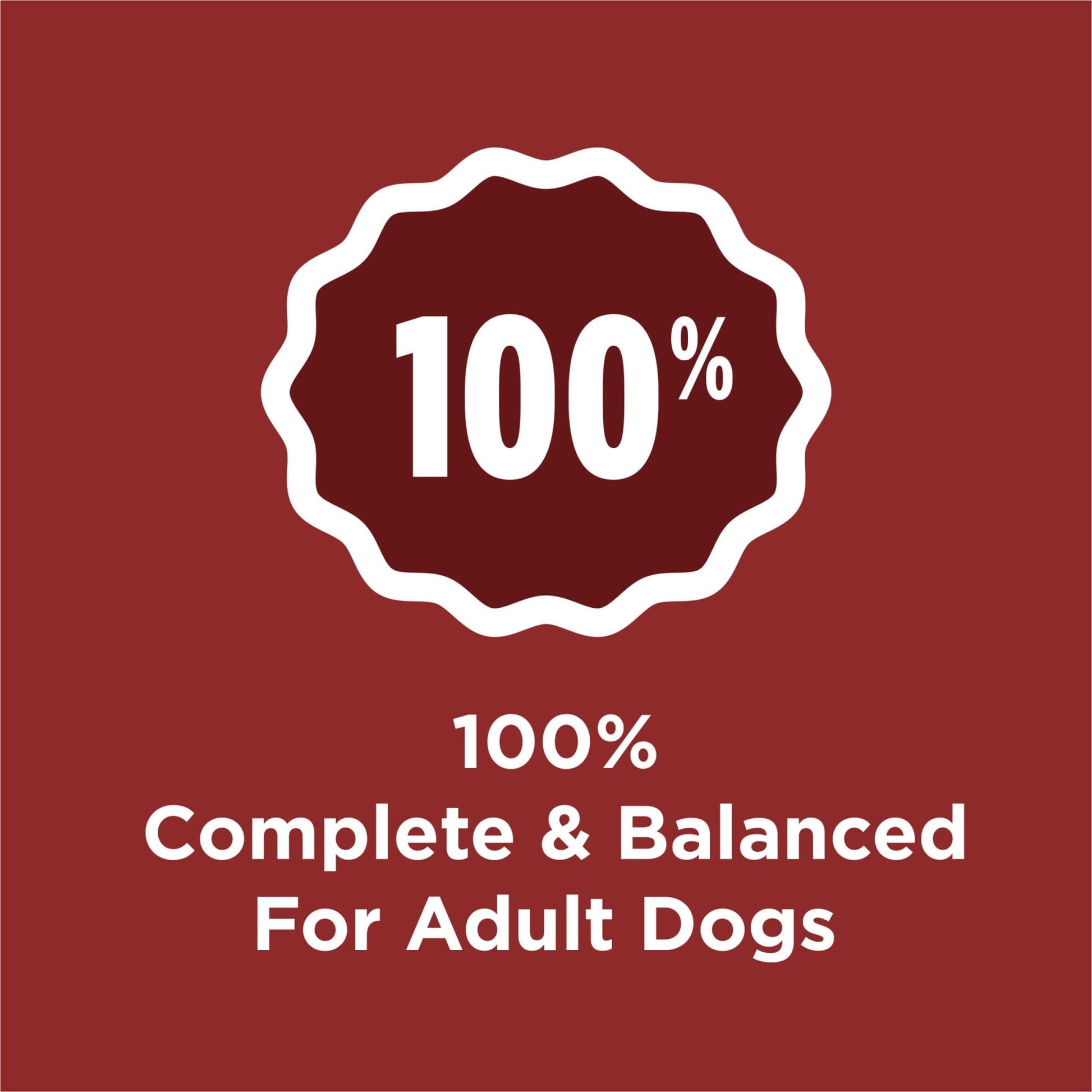 Purina Dog Chow Complete Adult Dry Dog Food Kibble Beef Flavor - 18.5 lb. Bag (Pack of 8)