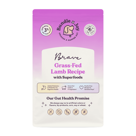 Bundle x Joy Brave Gut-Friendly Grass-Fed Lamb Flavor Dry Dog Food, 4 lb Bag